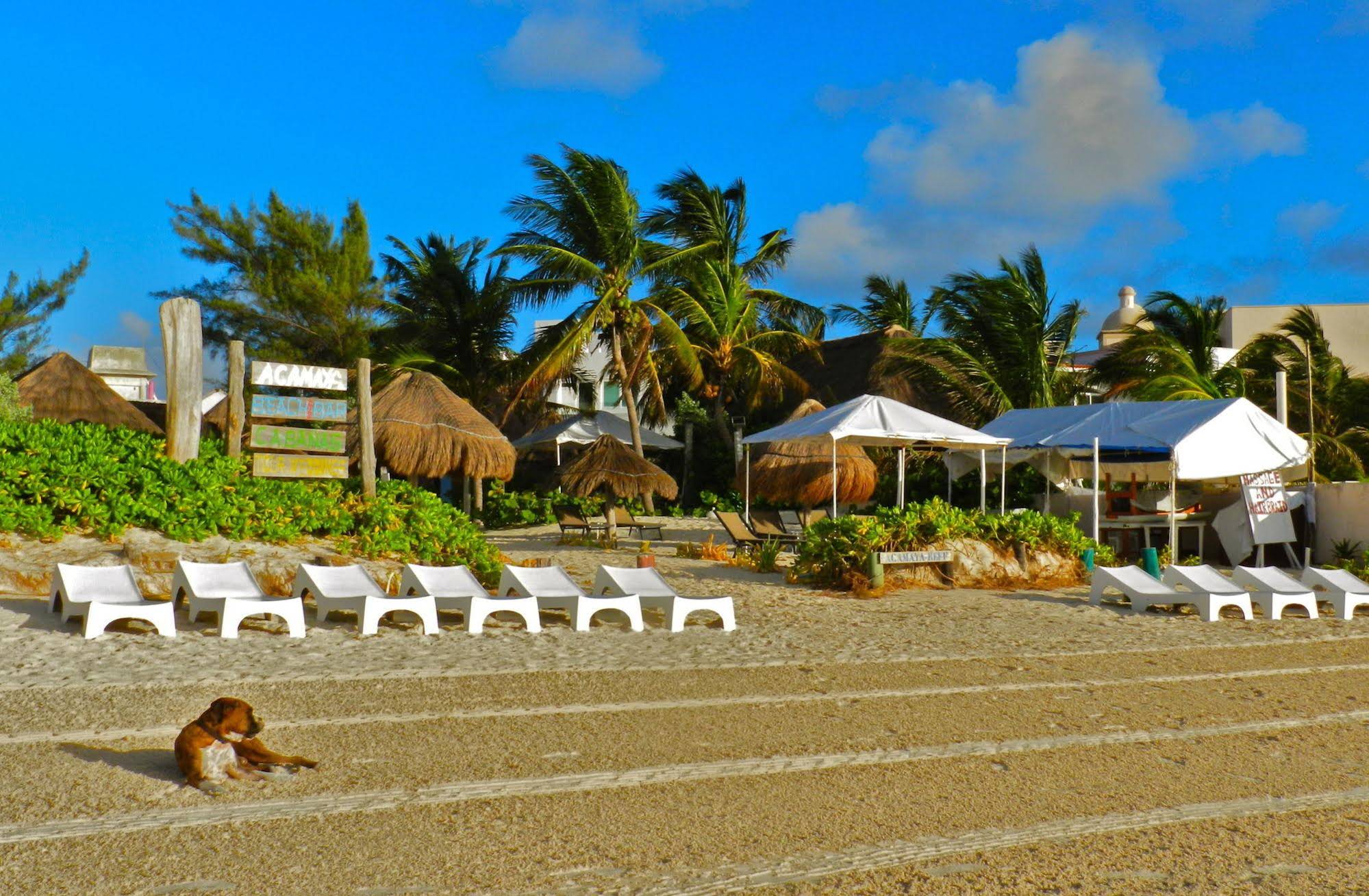 Acamaya Reef Cabañas & Beach Bar