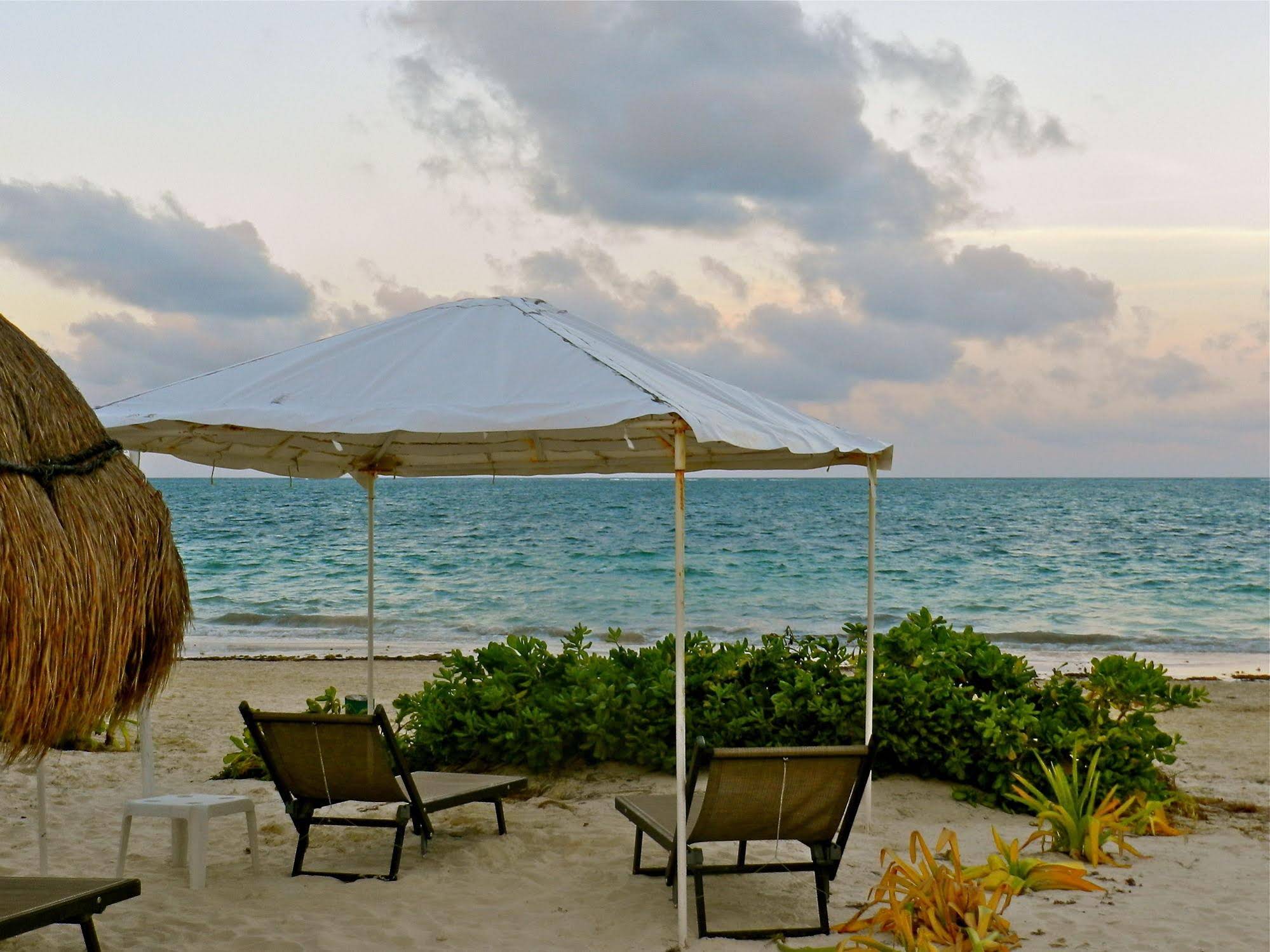 Acamaya Reef Cabañas & Beach Bar
