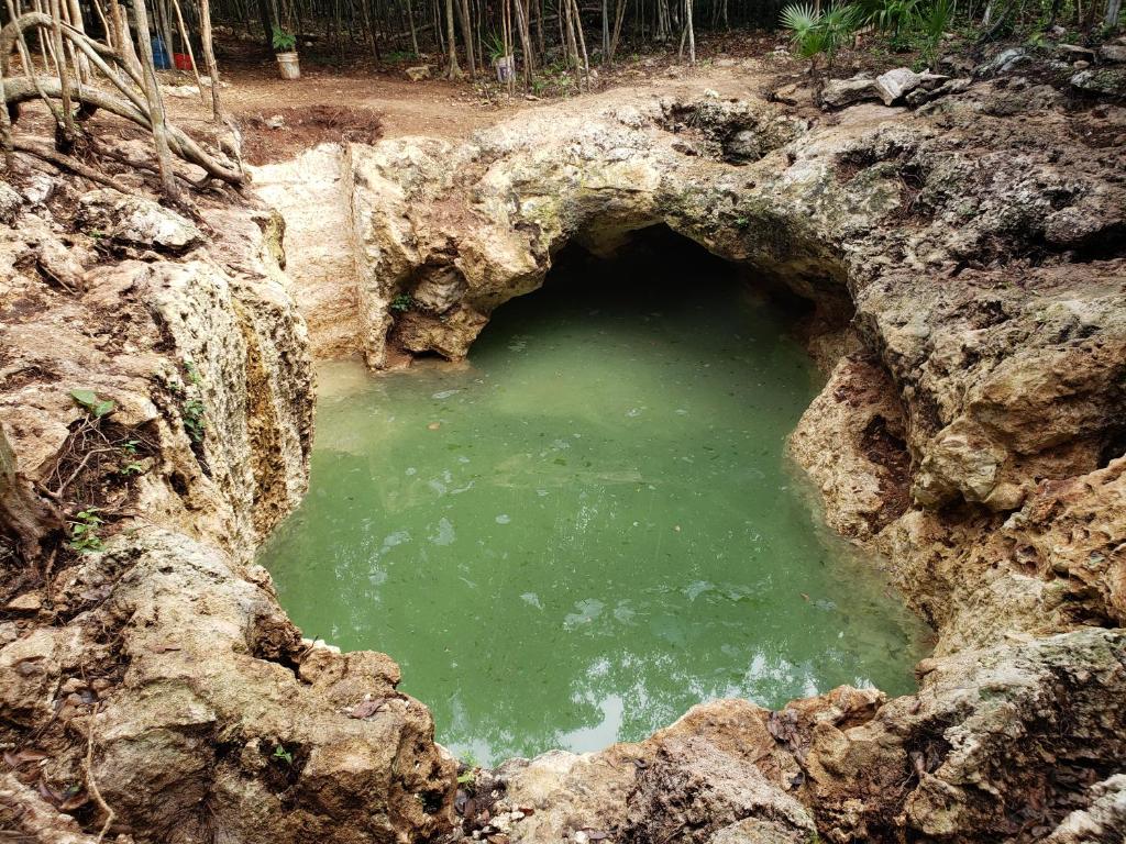 Aldea Maya Ha Cabanas Con Cenotes