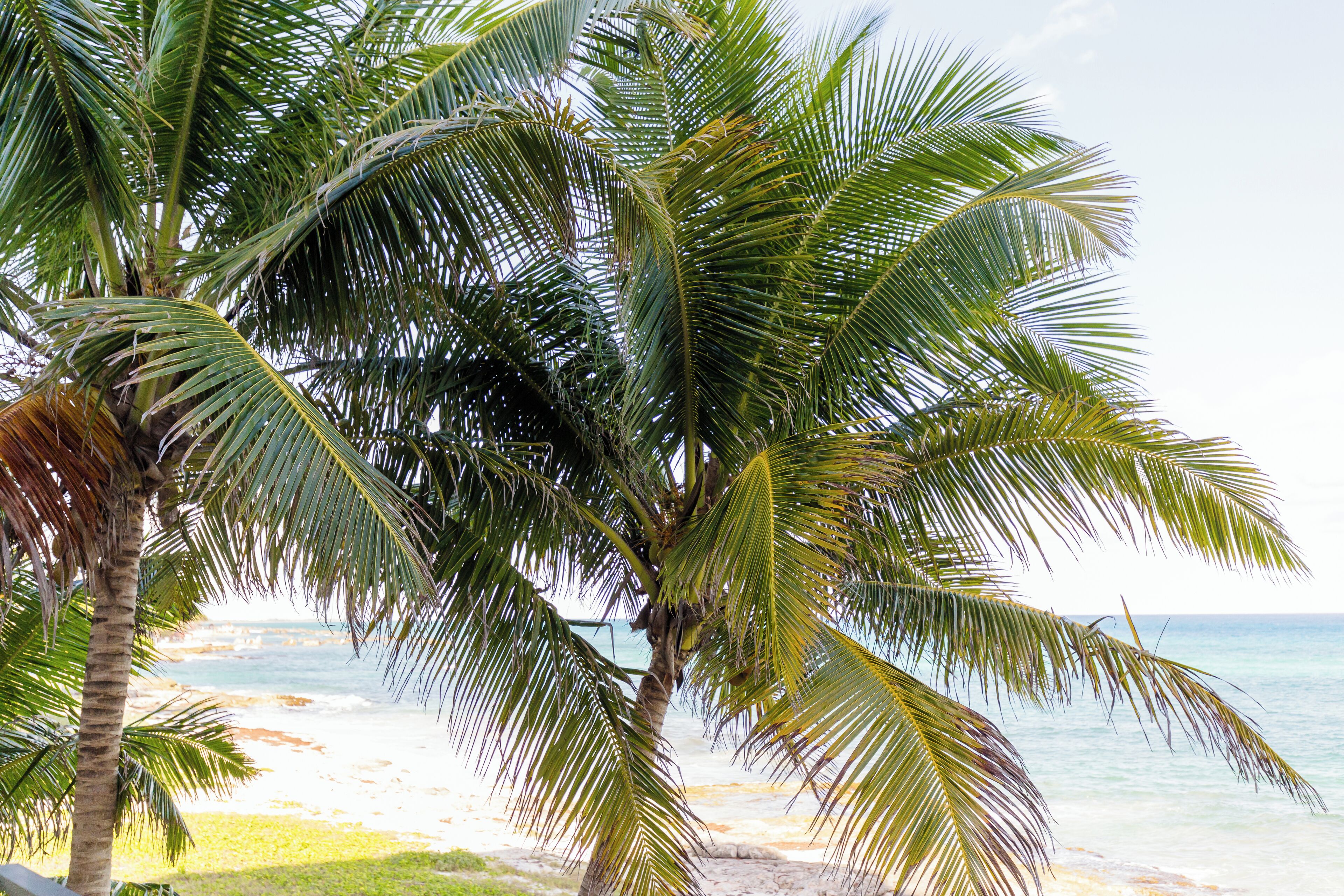 Angelina 28 Beachfront Hotel By Nah Hotels