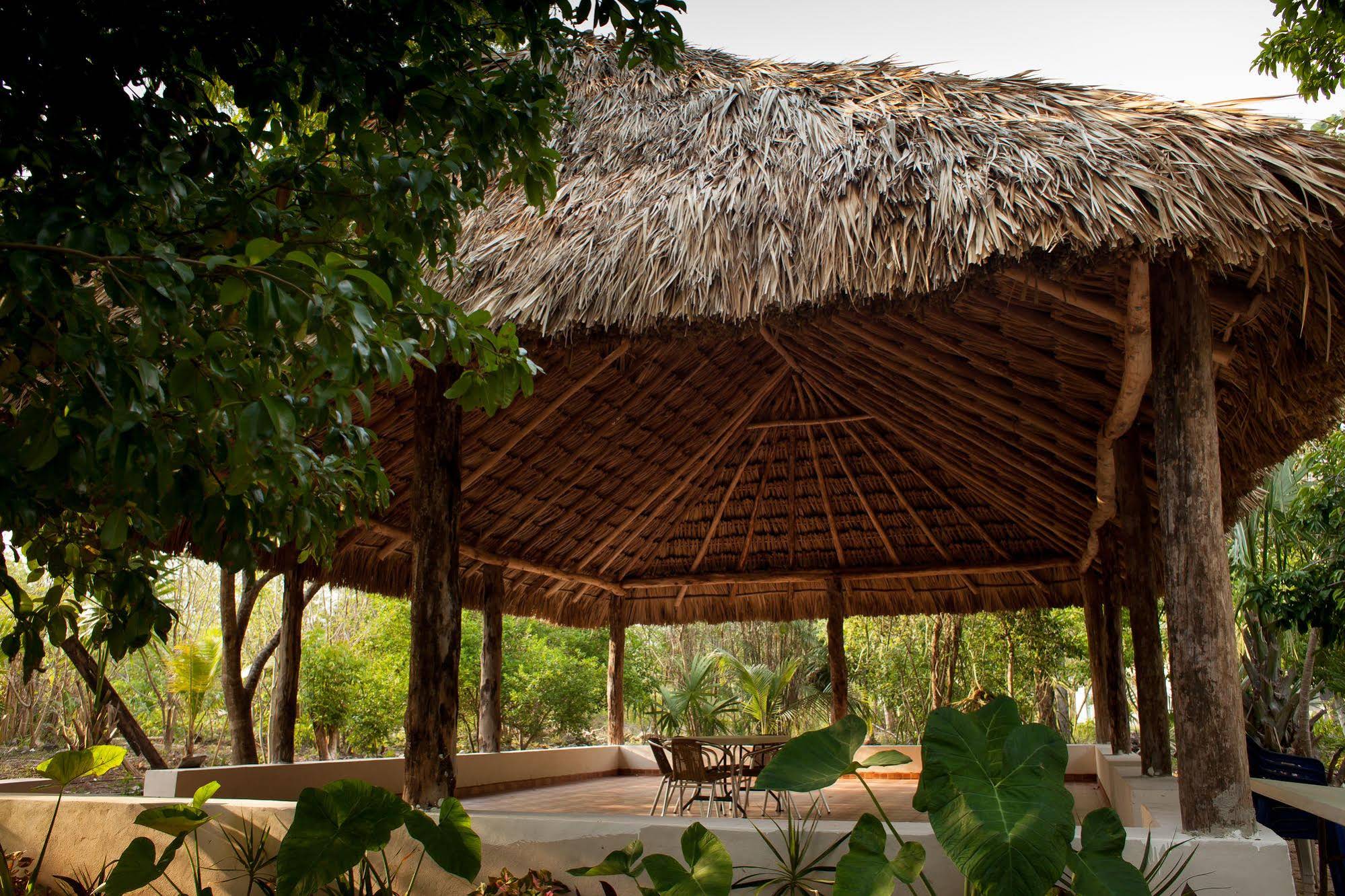 Casa Cenote Popol Vuh