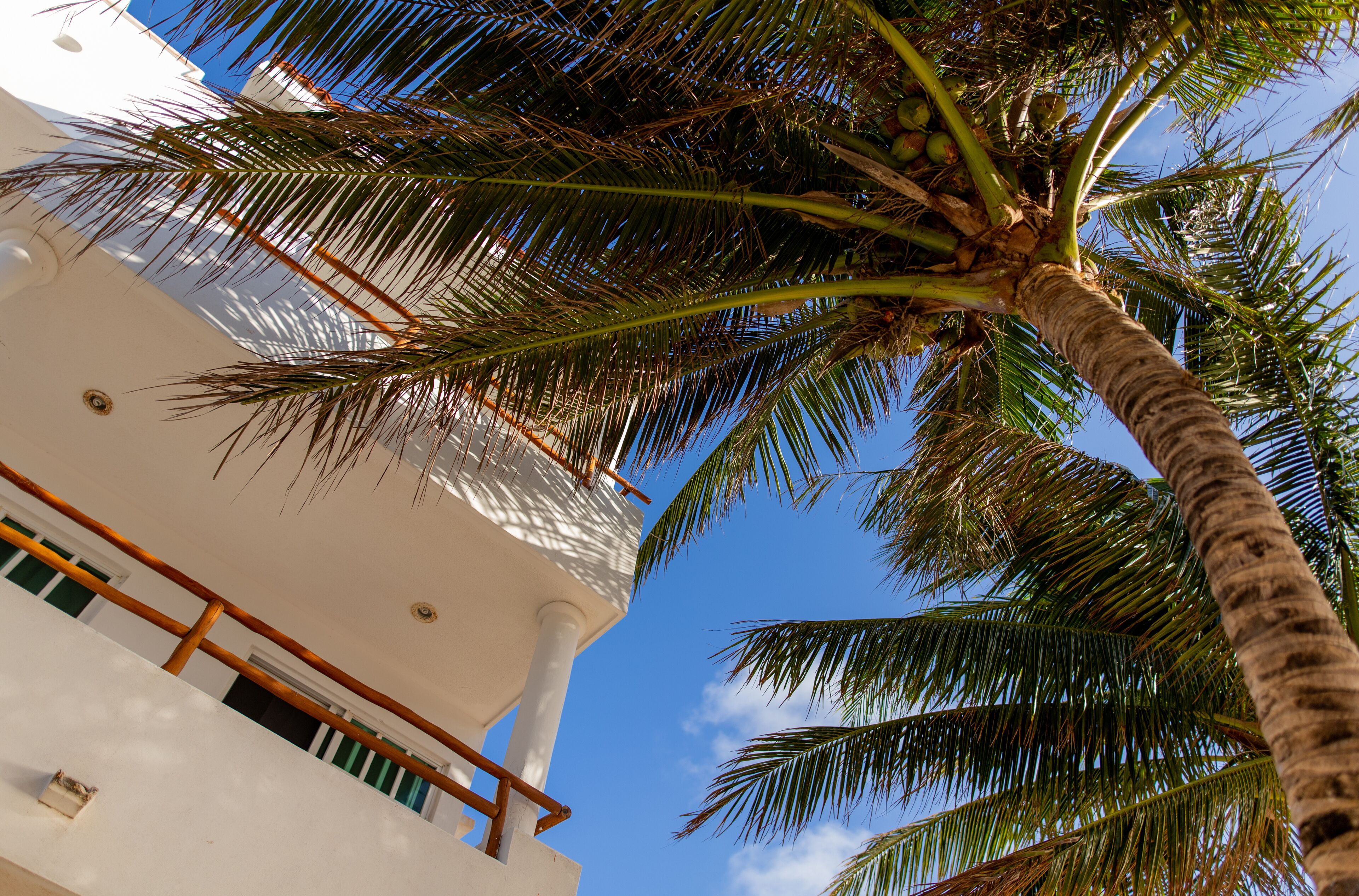 Hotel & Beach Club Ojo de Agua