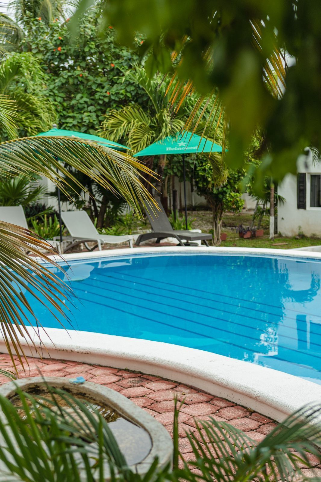 Hotel Las Arenas