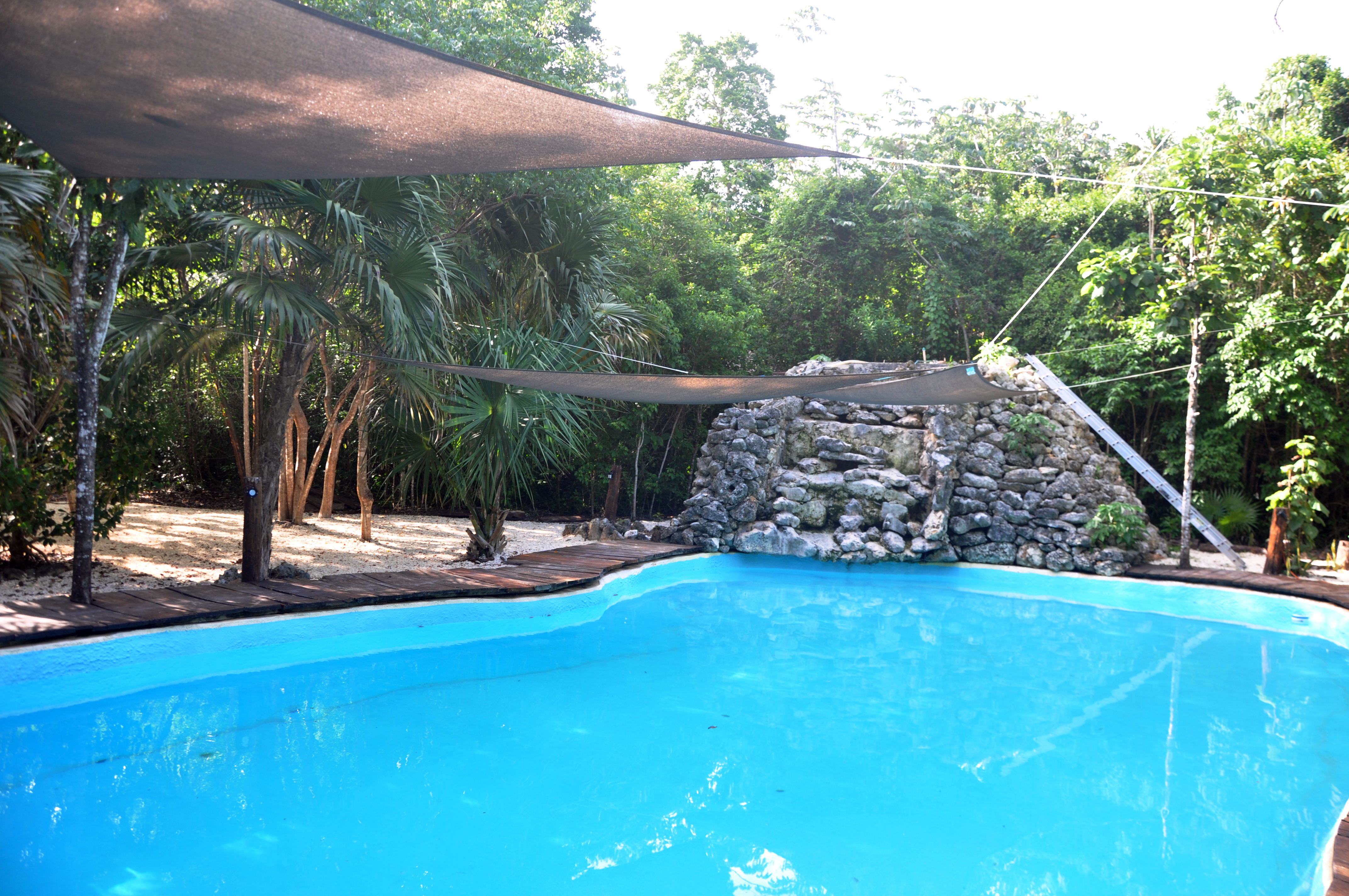 Jolie Jungle Eco Hotel