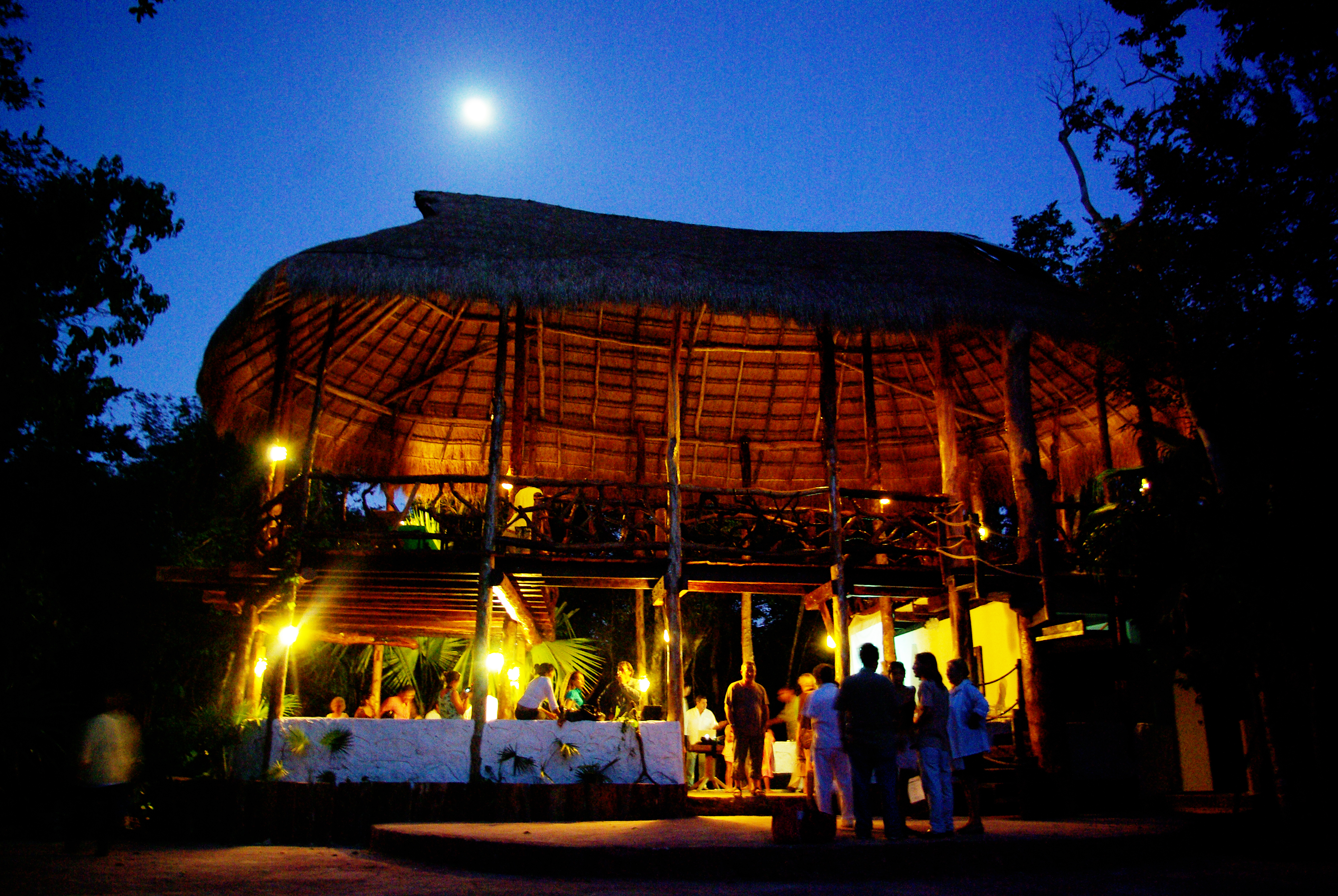Jolie Jungle Eco Hotel
