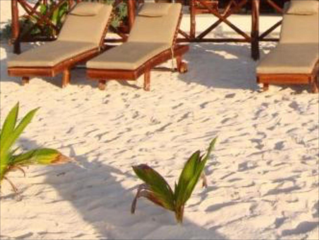 Azucar Tulum