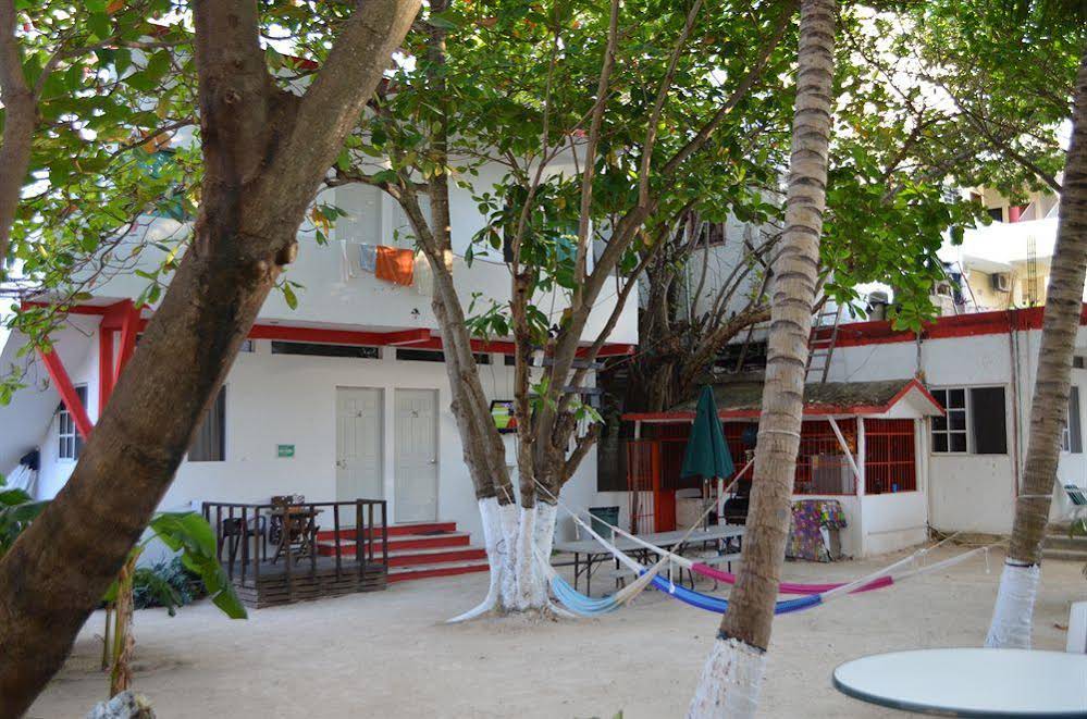 B & B Popol Vuh
