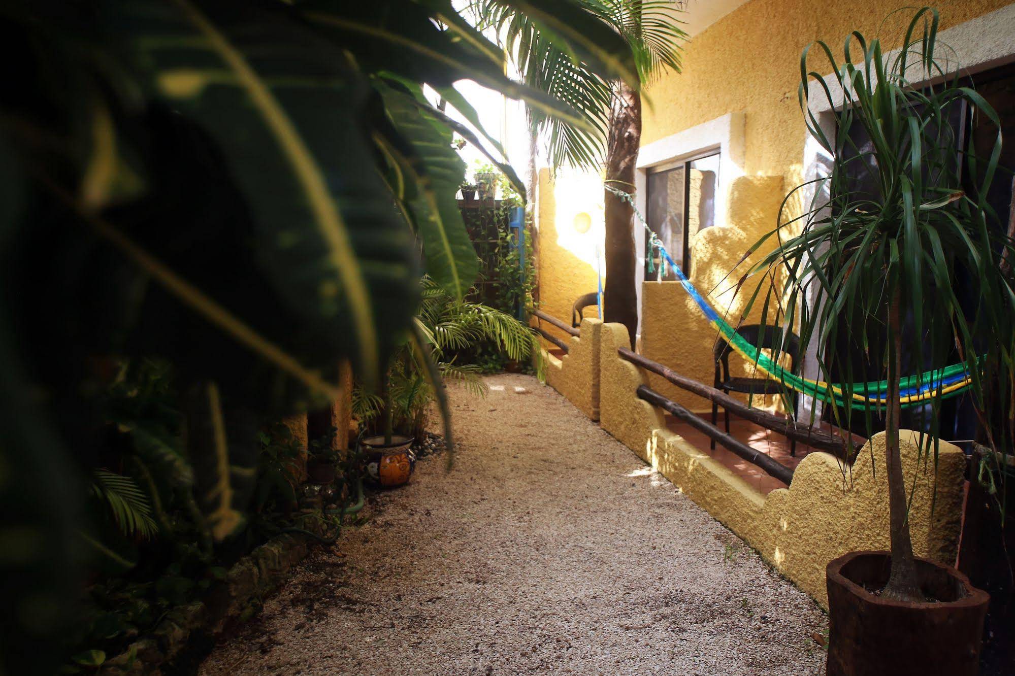Colibri Beach Hotel