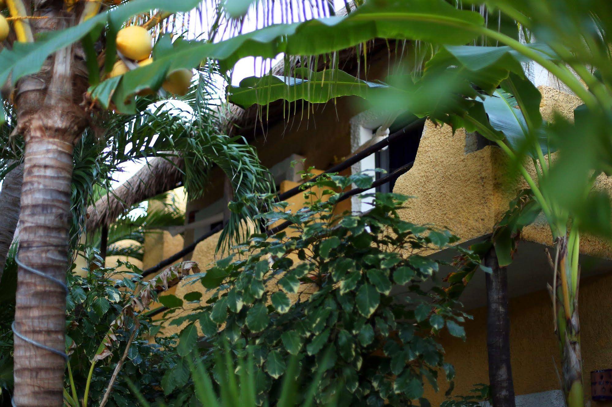 Colibri Beach Hotel