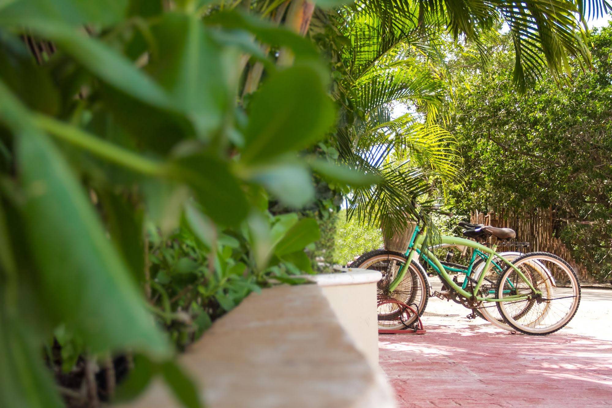 Hotel Mereva Tulum
