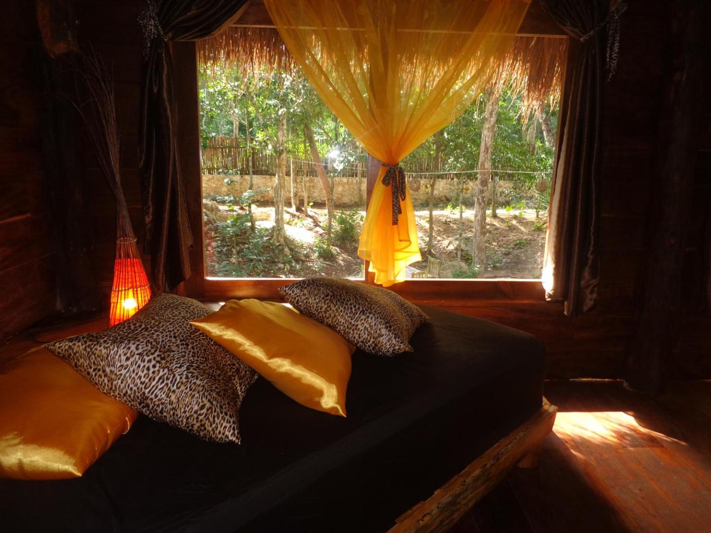 Casa Mango