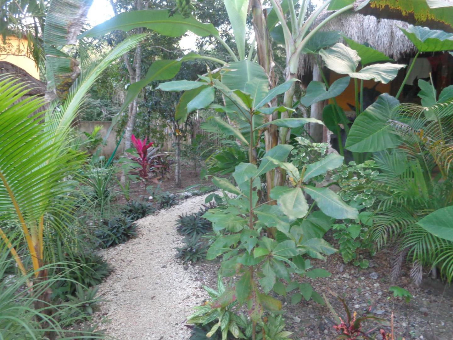 Casa Mango