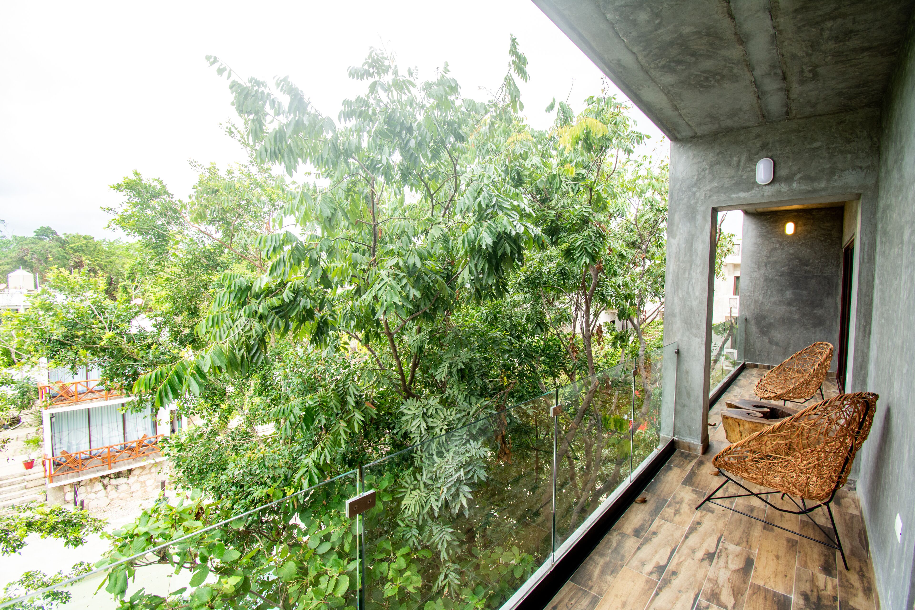 Cenote Casa Tortuga Tulum