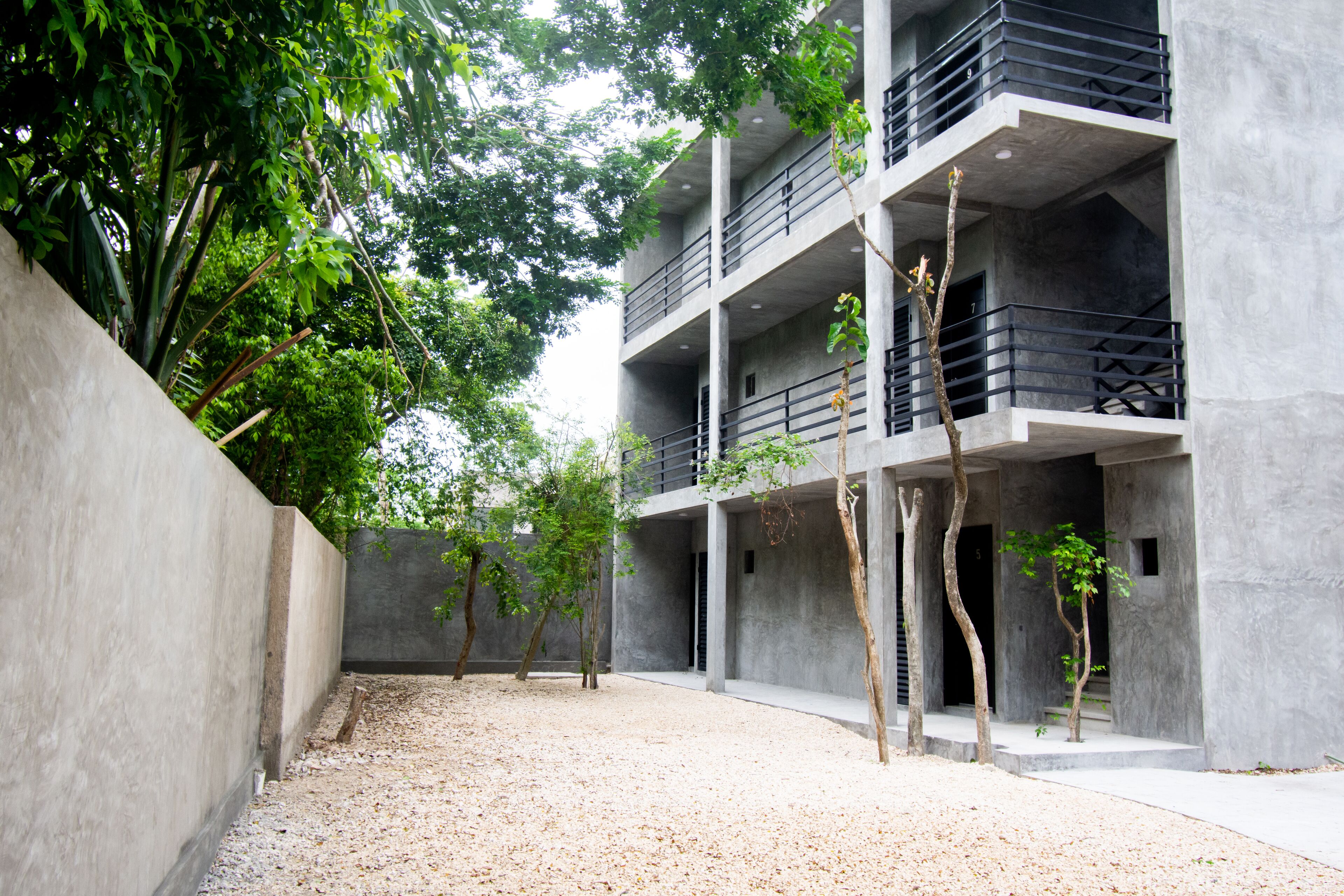 Cenote Casa Tortuga Tulum