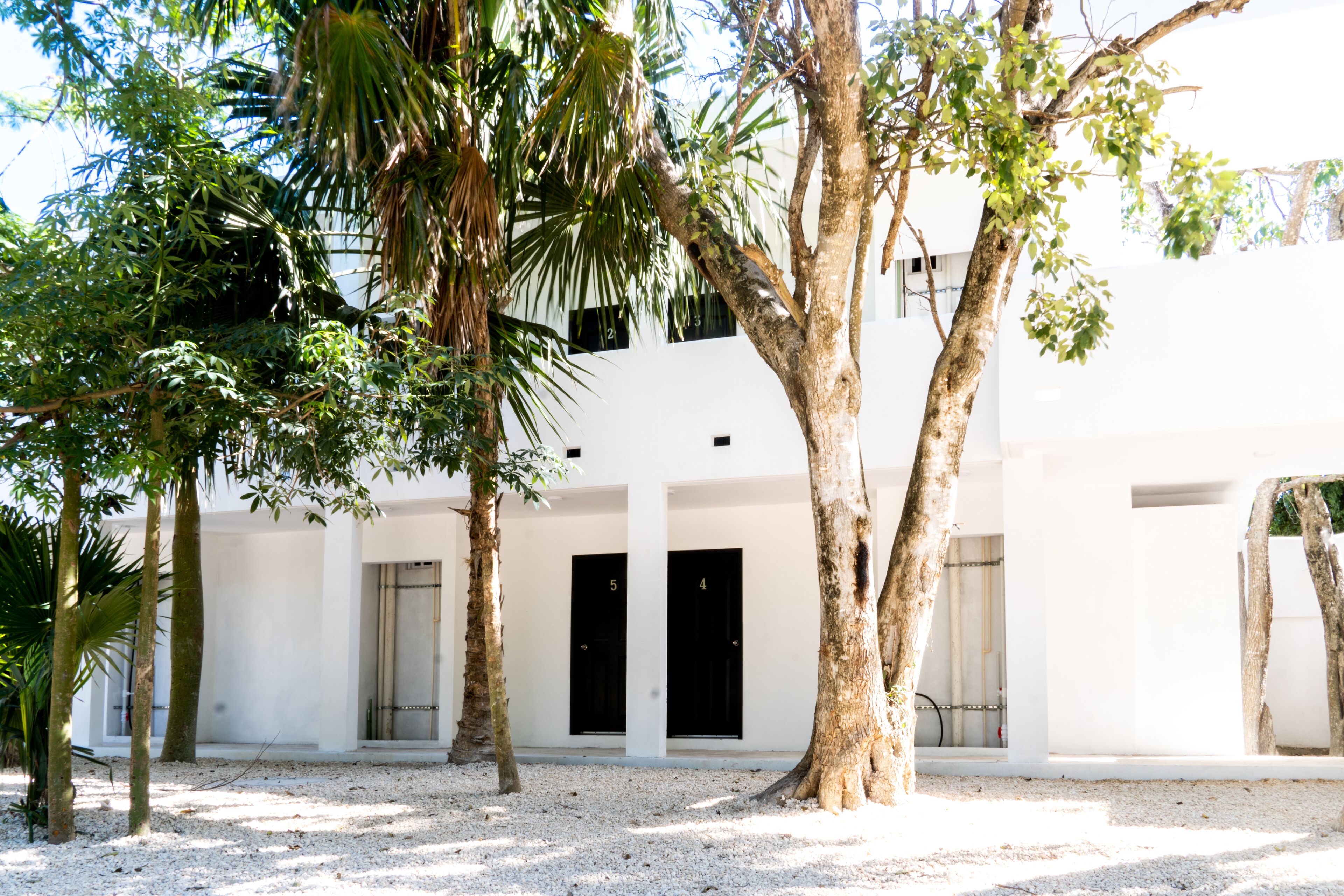 Cenote Casa Tortuga Tulum
