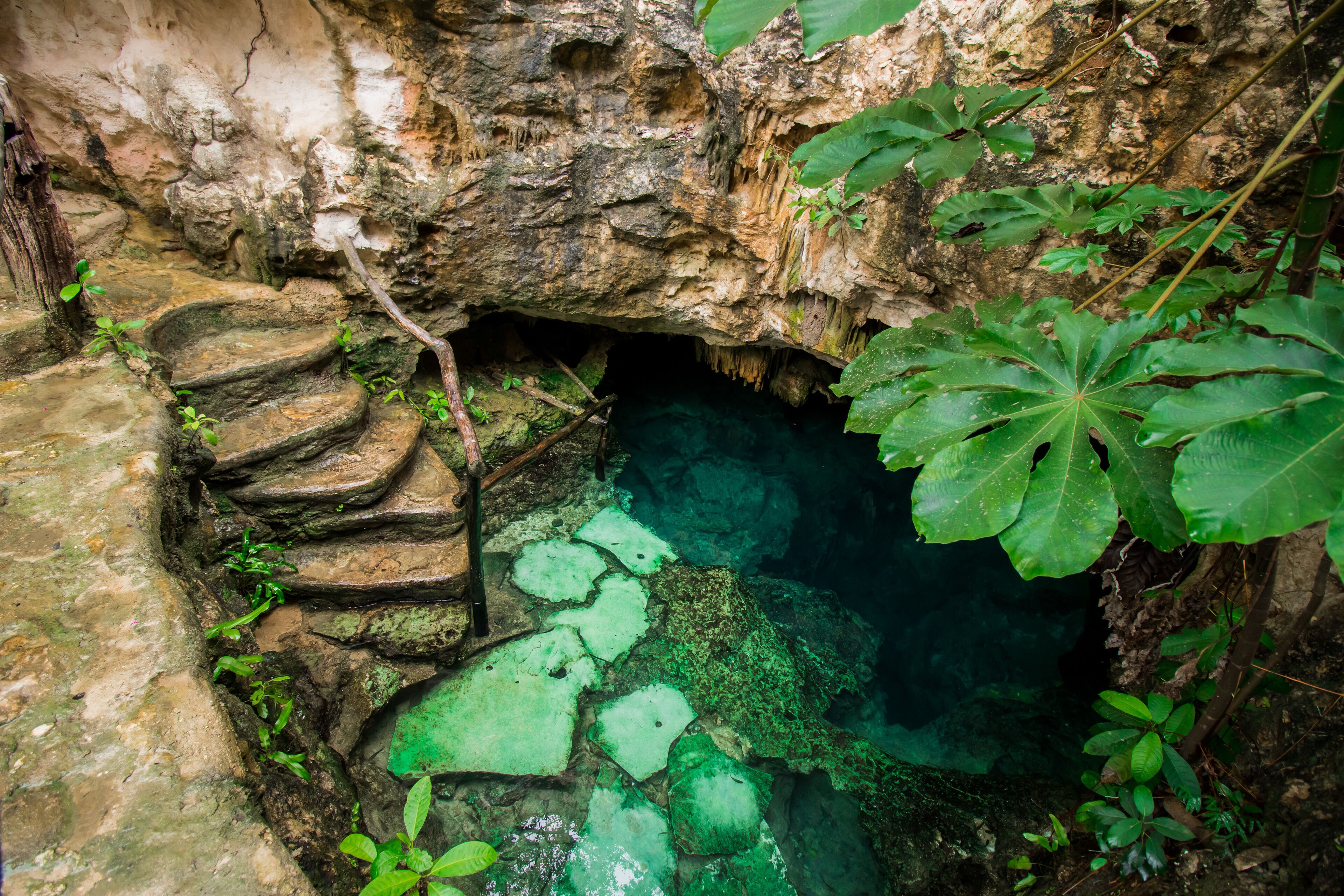 Cenote Casa Tortuga Tulum