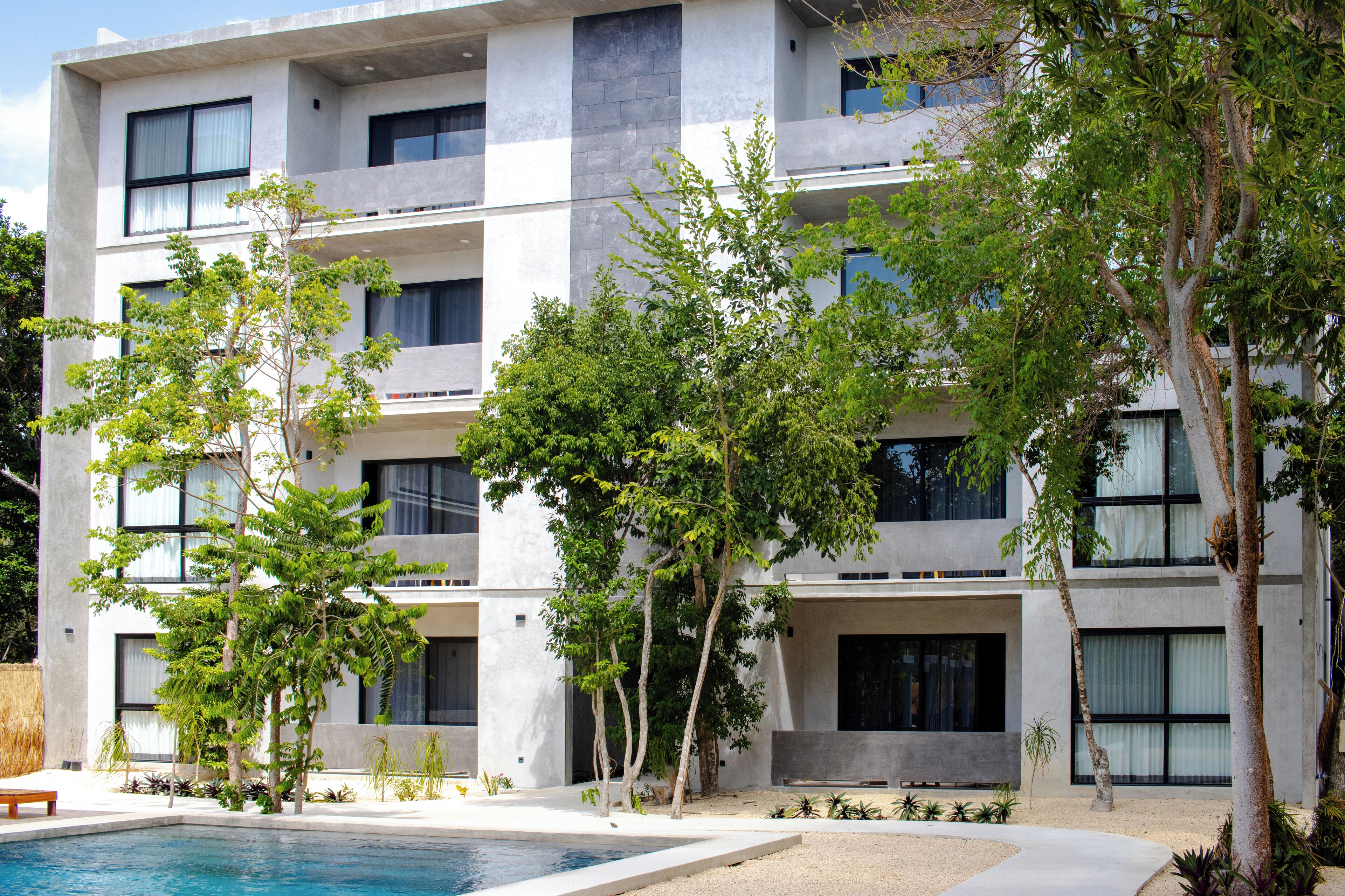 Cenote Casa Tortuga Tulum