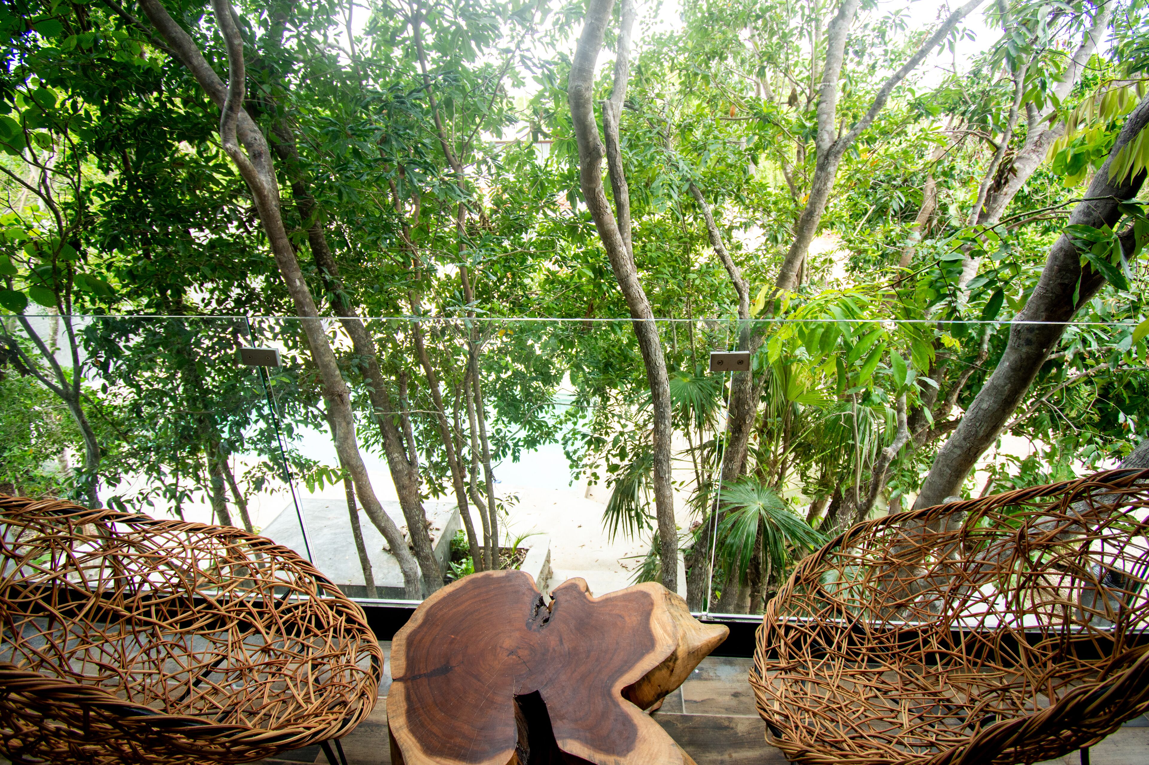 Cenote Casa Tortuga Tulum