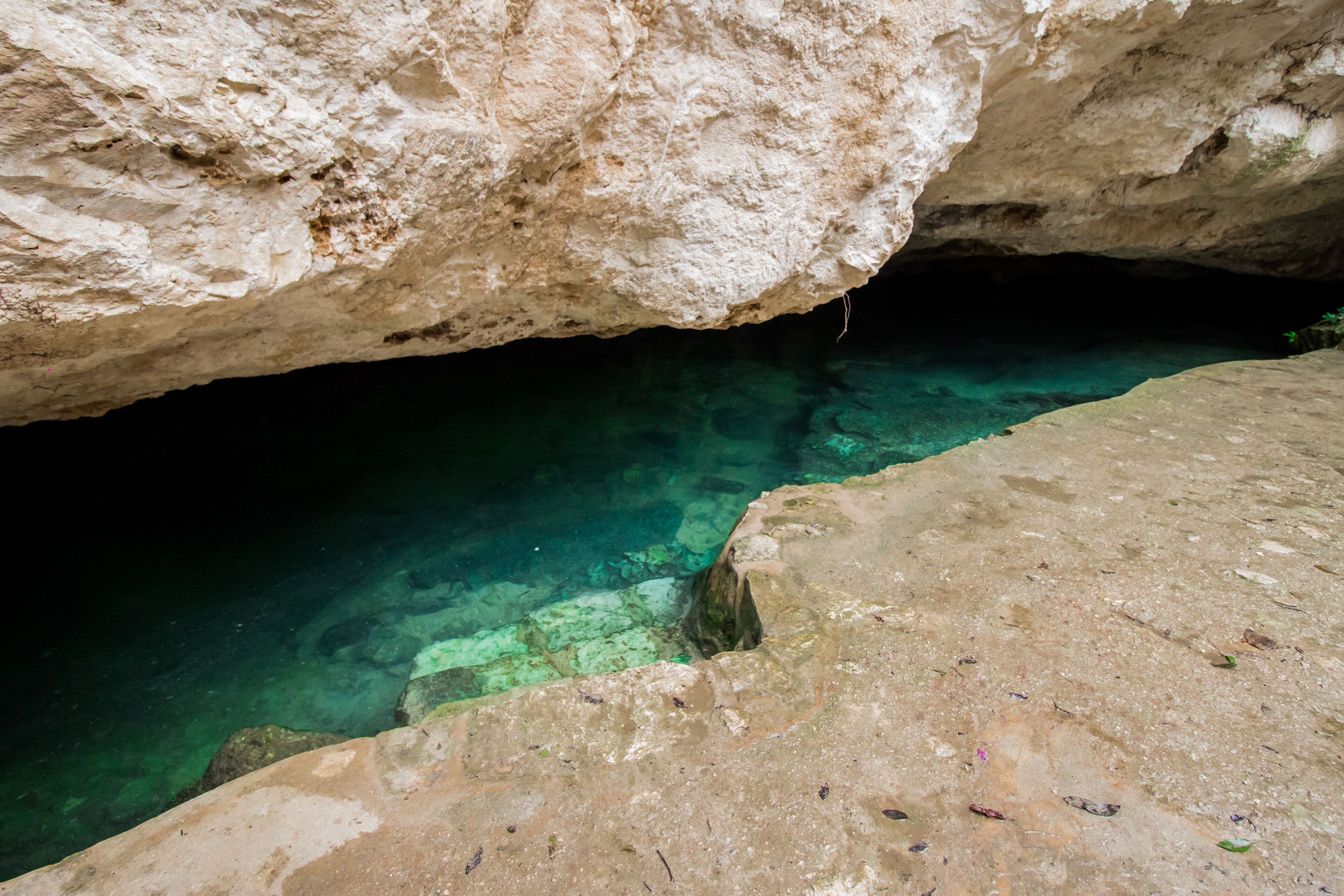Cenote Casa Tortuga Tulum