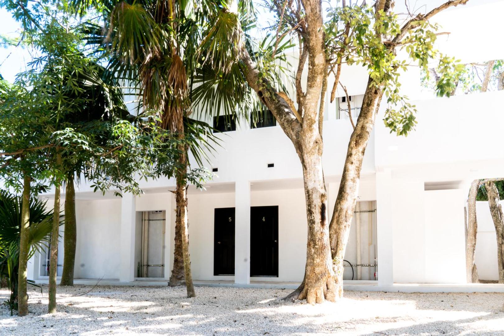 Cenote Casa Tortuga Tulum