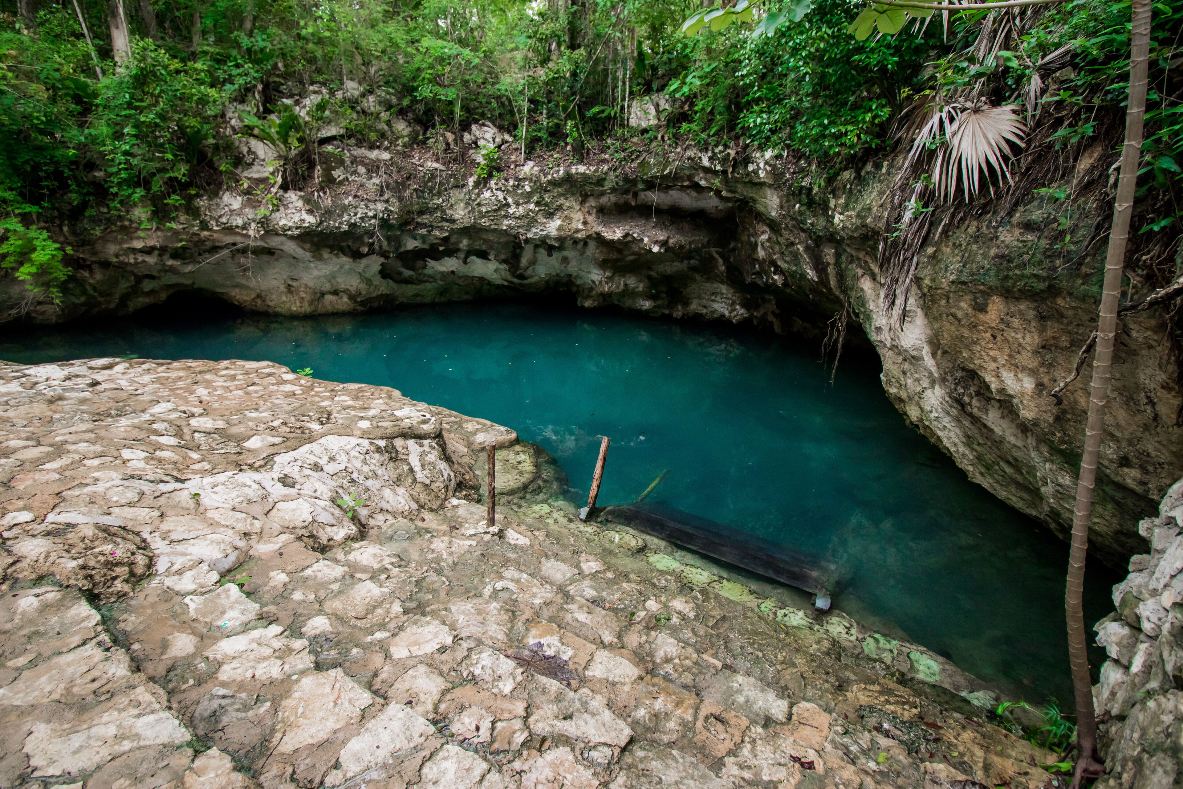 Cenote Casa Tortuga Tulum