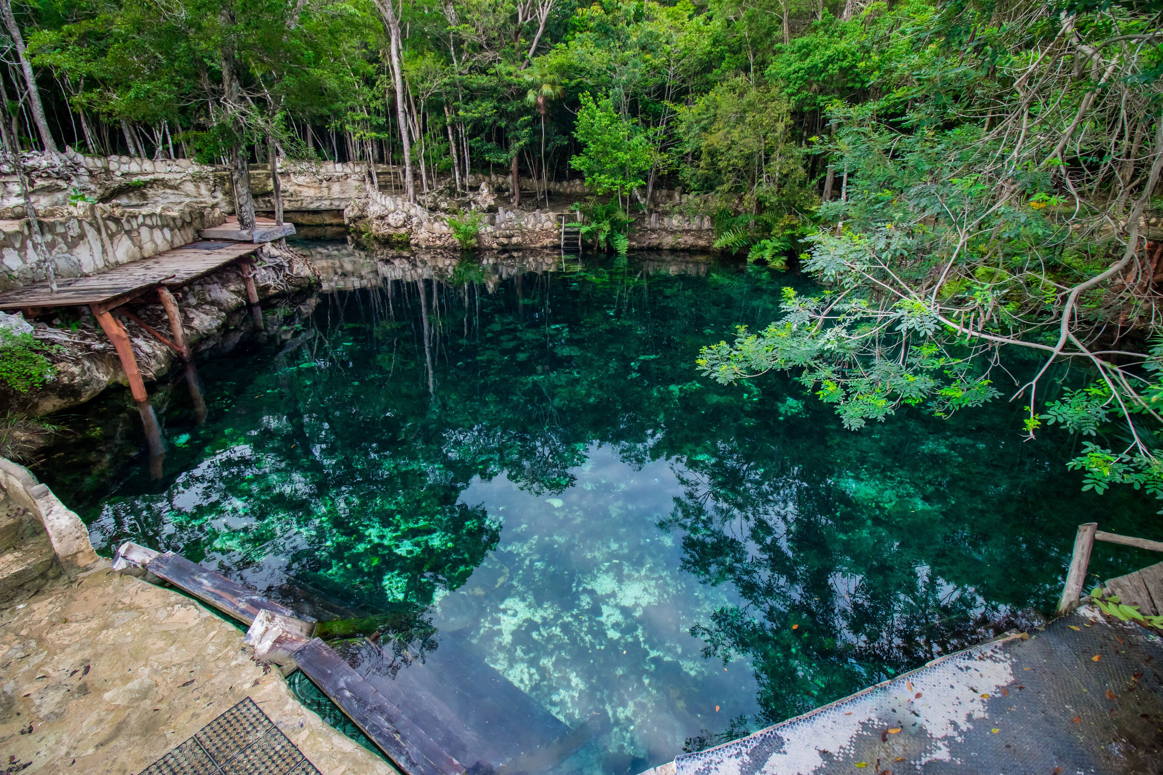 Cenote Casa Tortuga Tulum