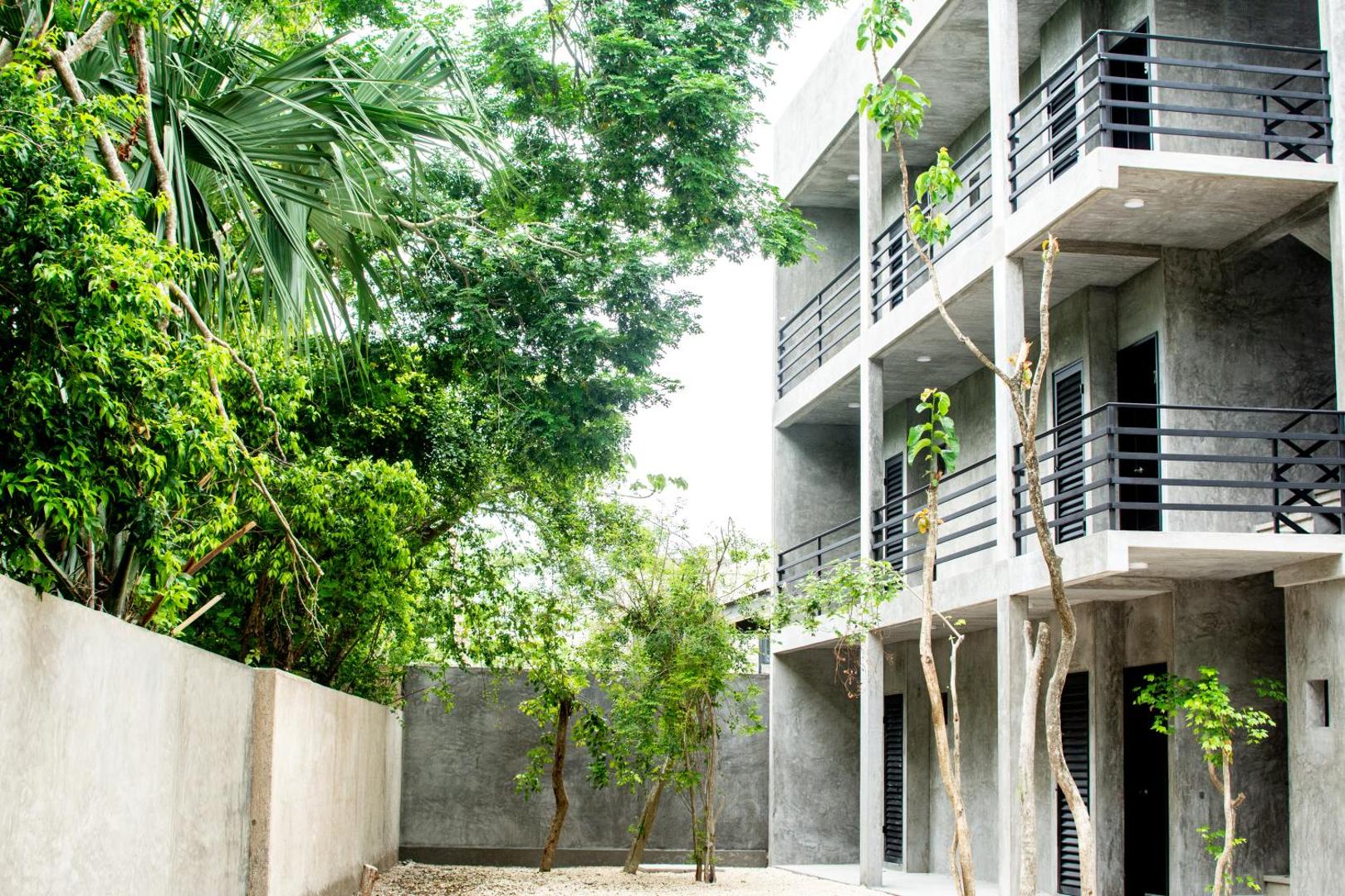 Cenote Casa Tortuga Tulum