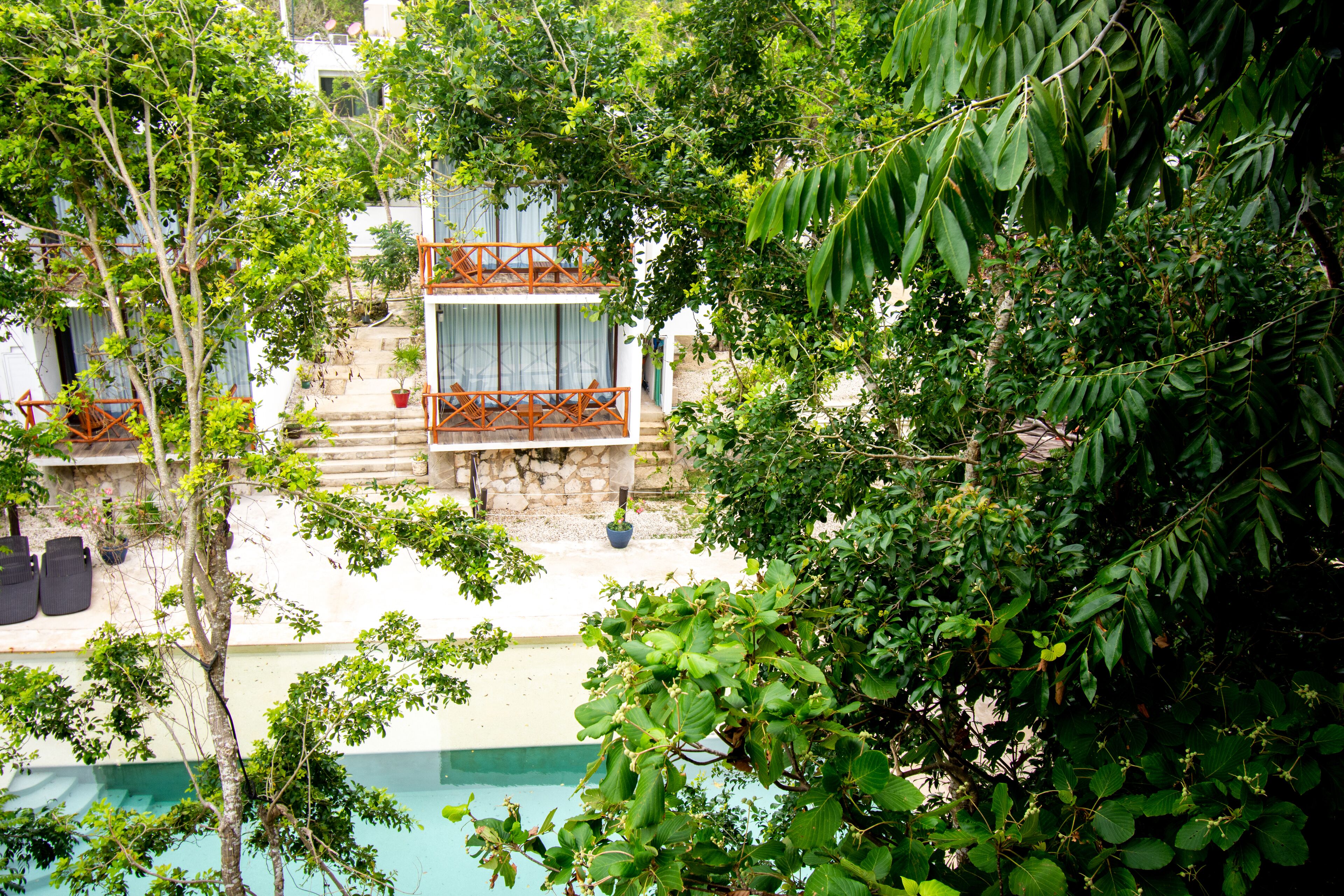 Cenote Casa Tortuga Tulum