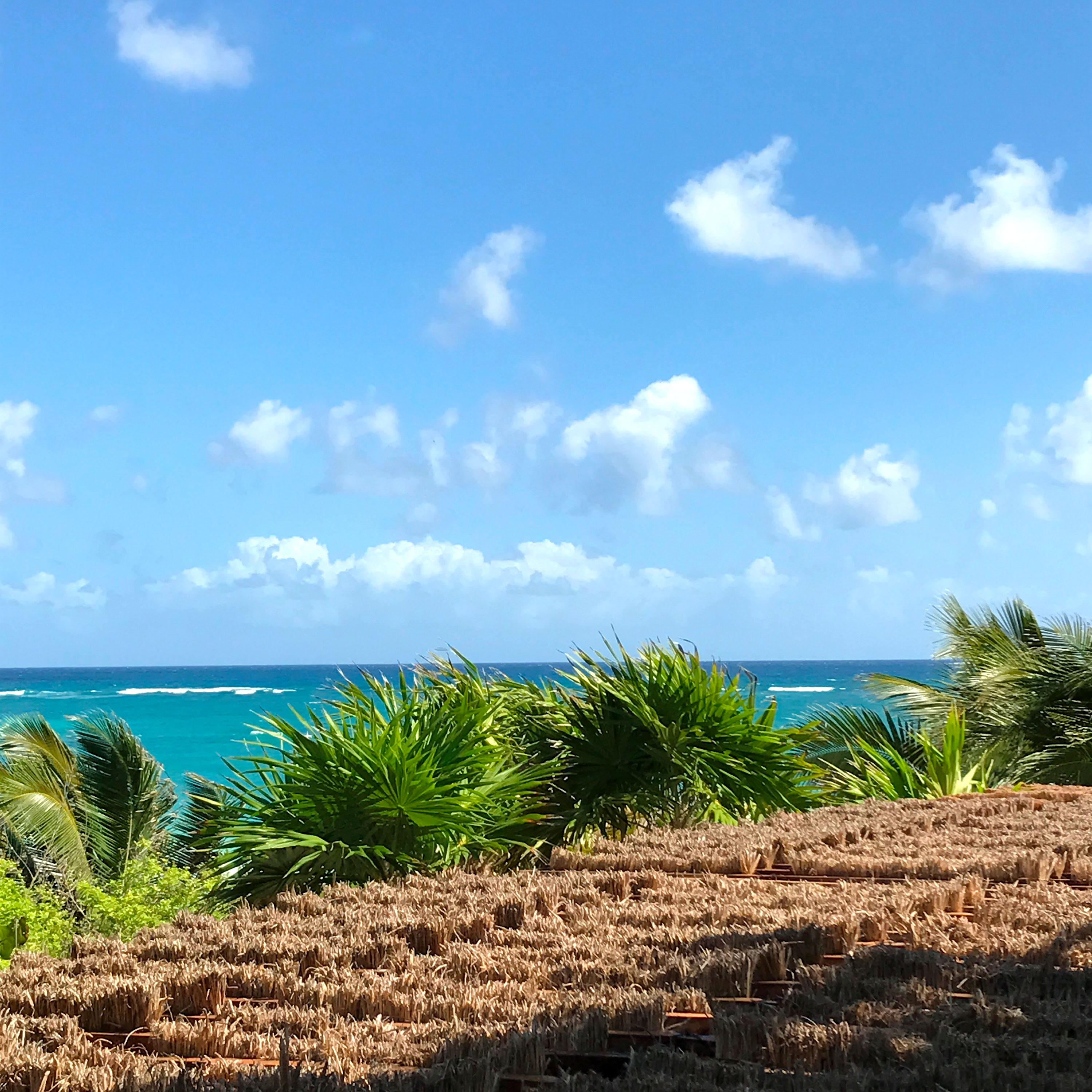 Chiringuito Tulum