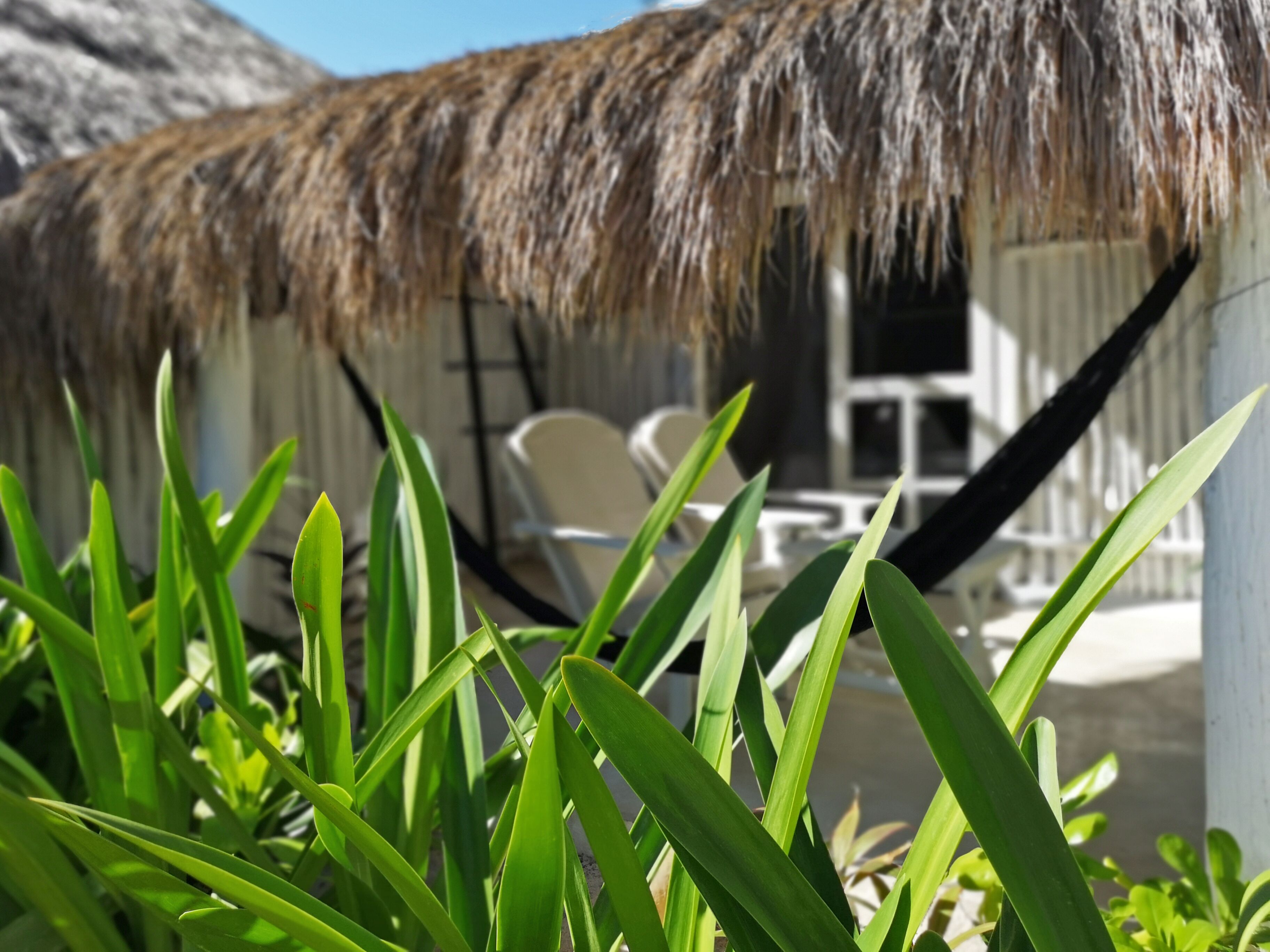 Coco Beach Club Hotel