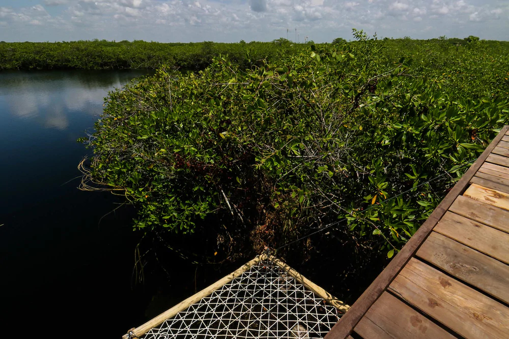 Cormoran Boutique Hotel