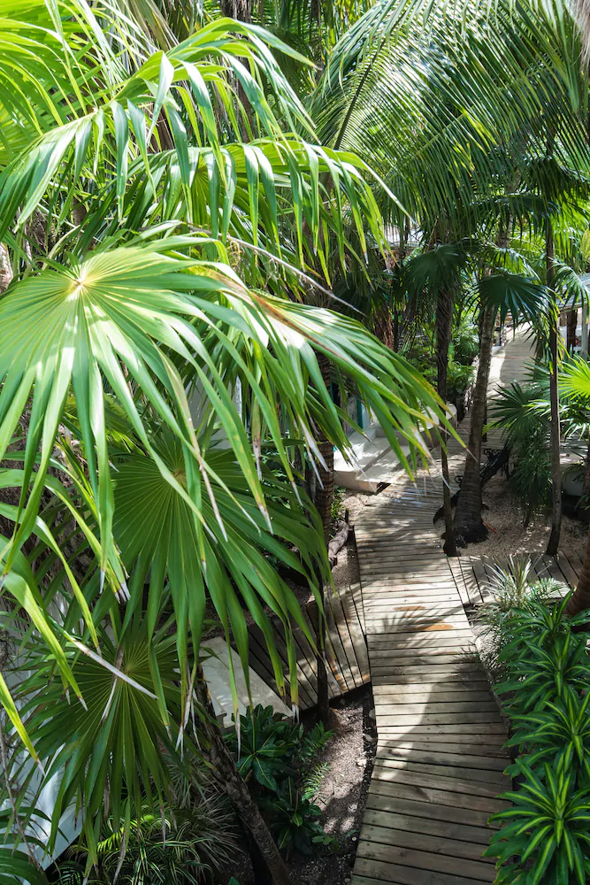 Cormoran Boutique Hotel