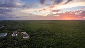Eco Rooms Casa Coyote