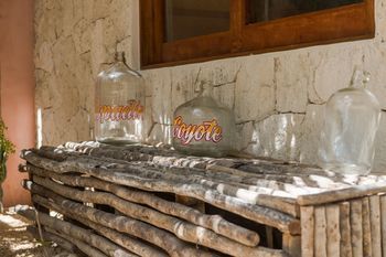 Eco Rooms Casa Coyote