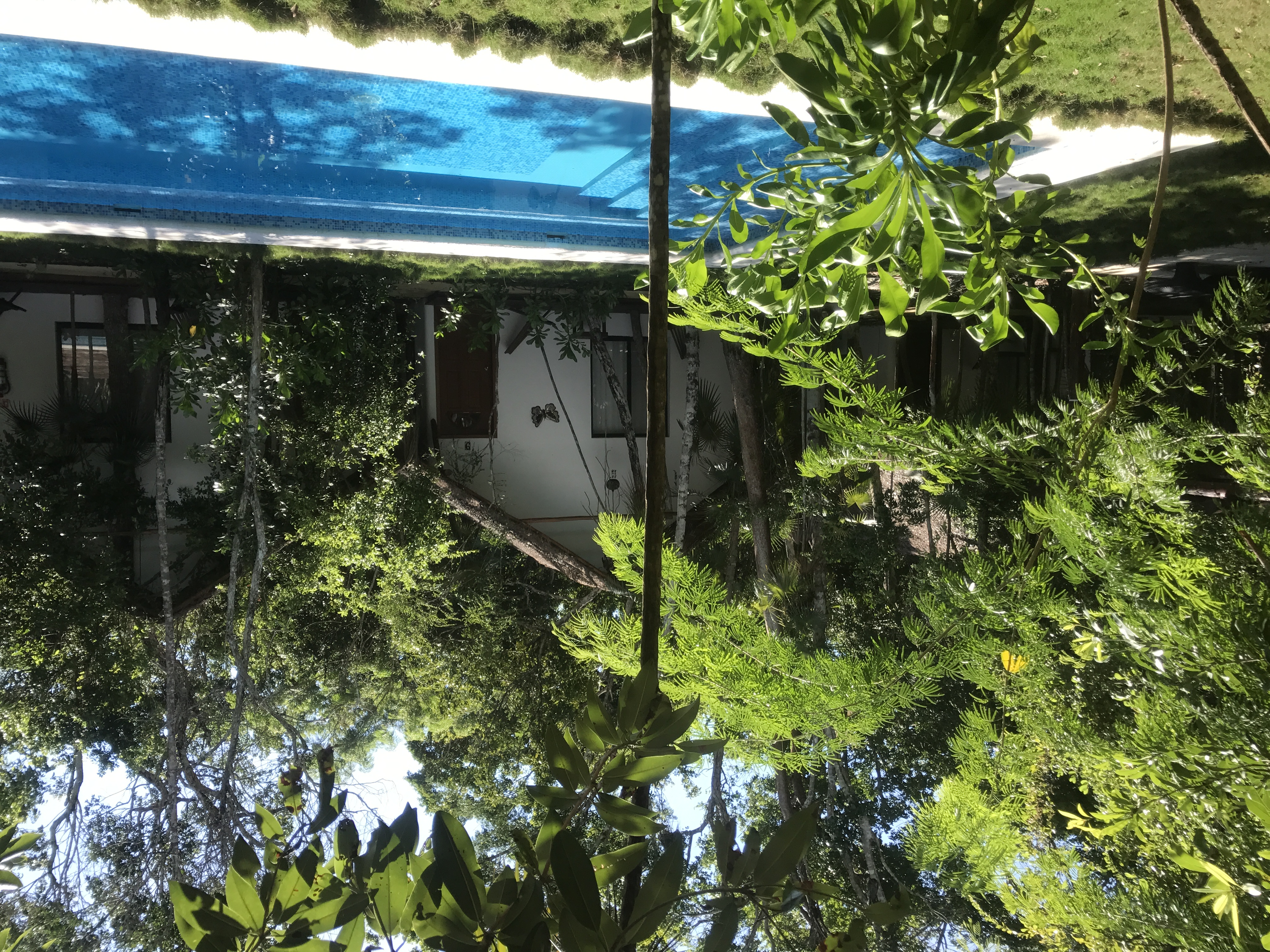 Ecovergel Riviera Maya Hotel Boutique