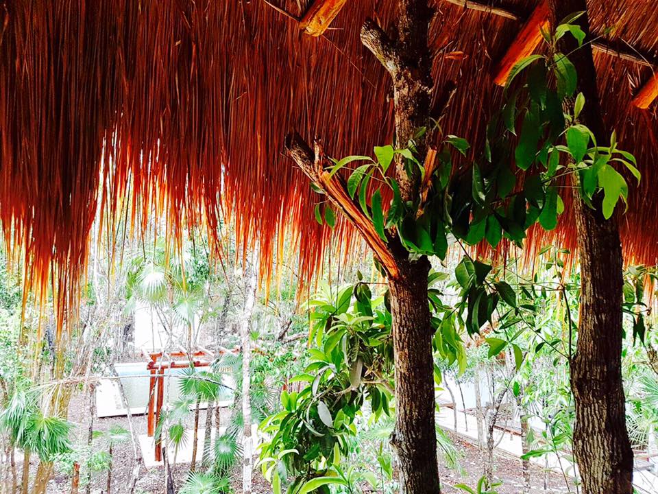 Ecovergel Riviera Maya Hotel Boutique