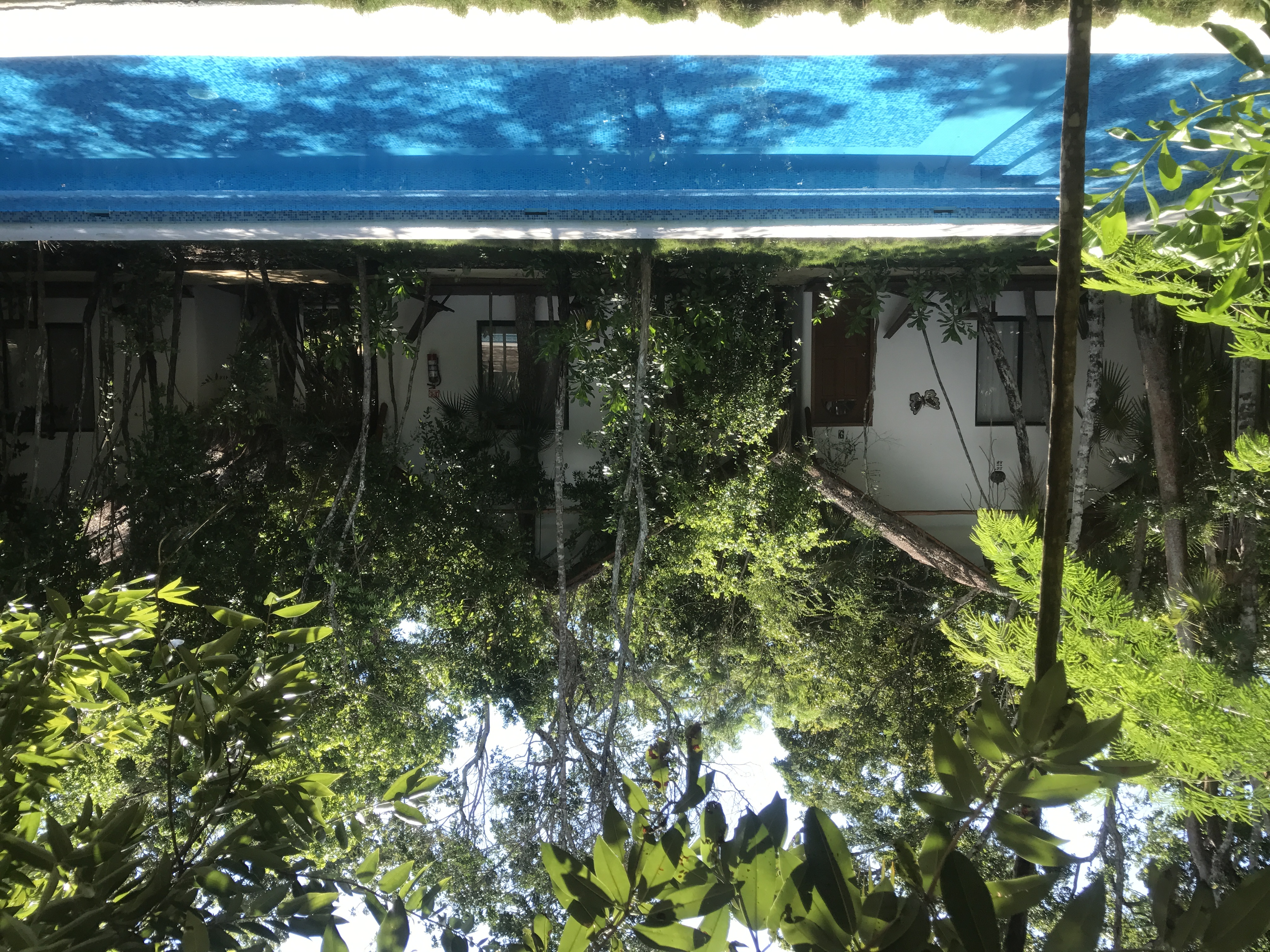 Ecovergel Riviera Maya Hotel Boutique