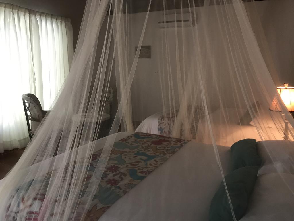 Ecovergel Riviera Maya Hotel Boutique
