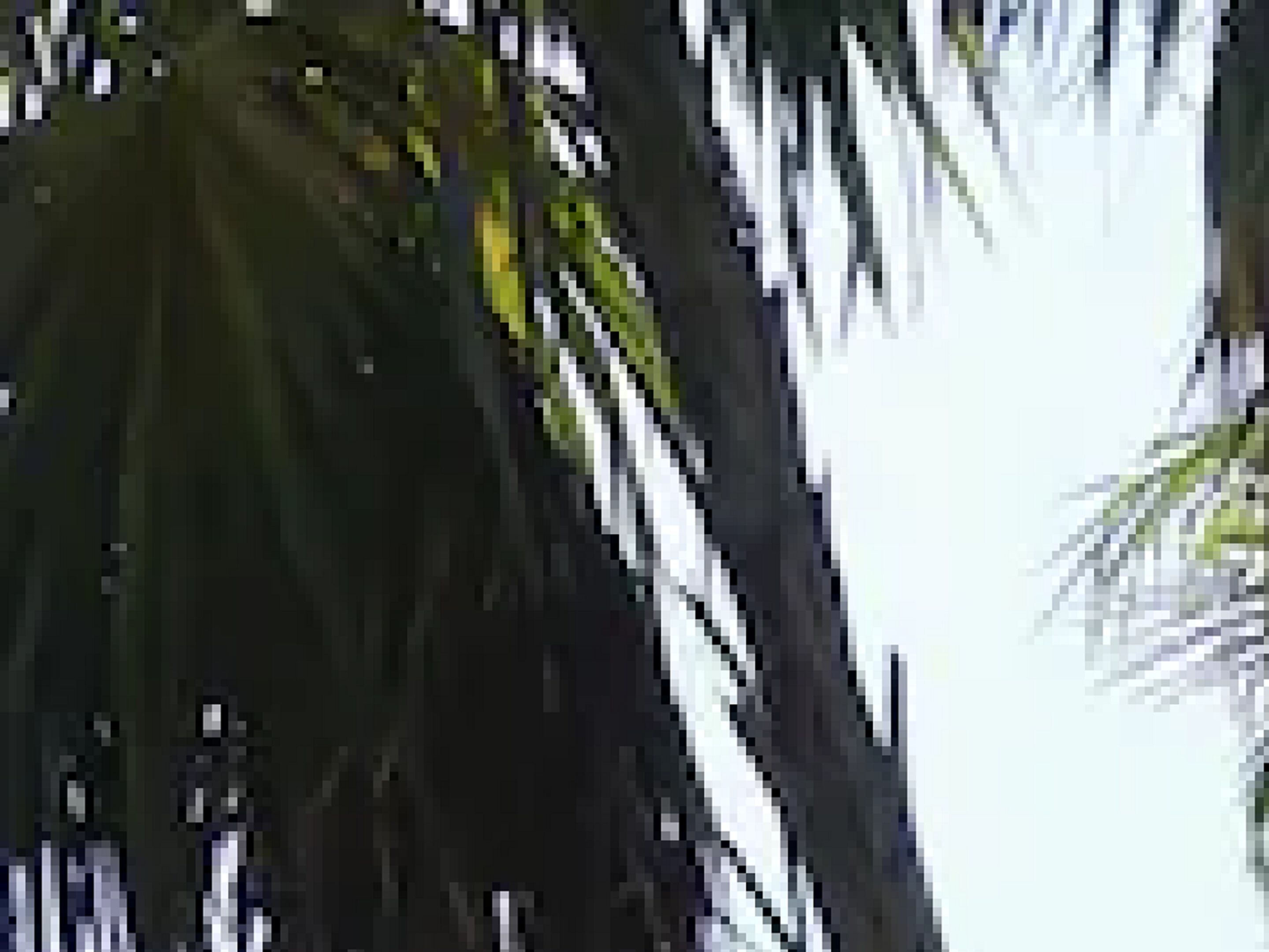 Esduma Nativa Hotel Tulum