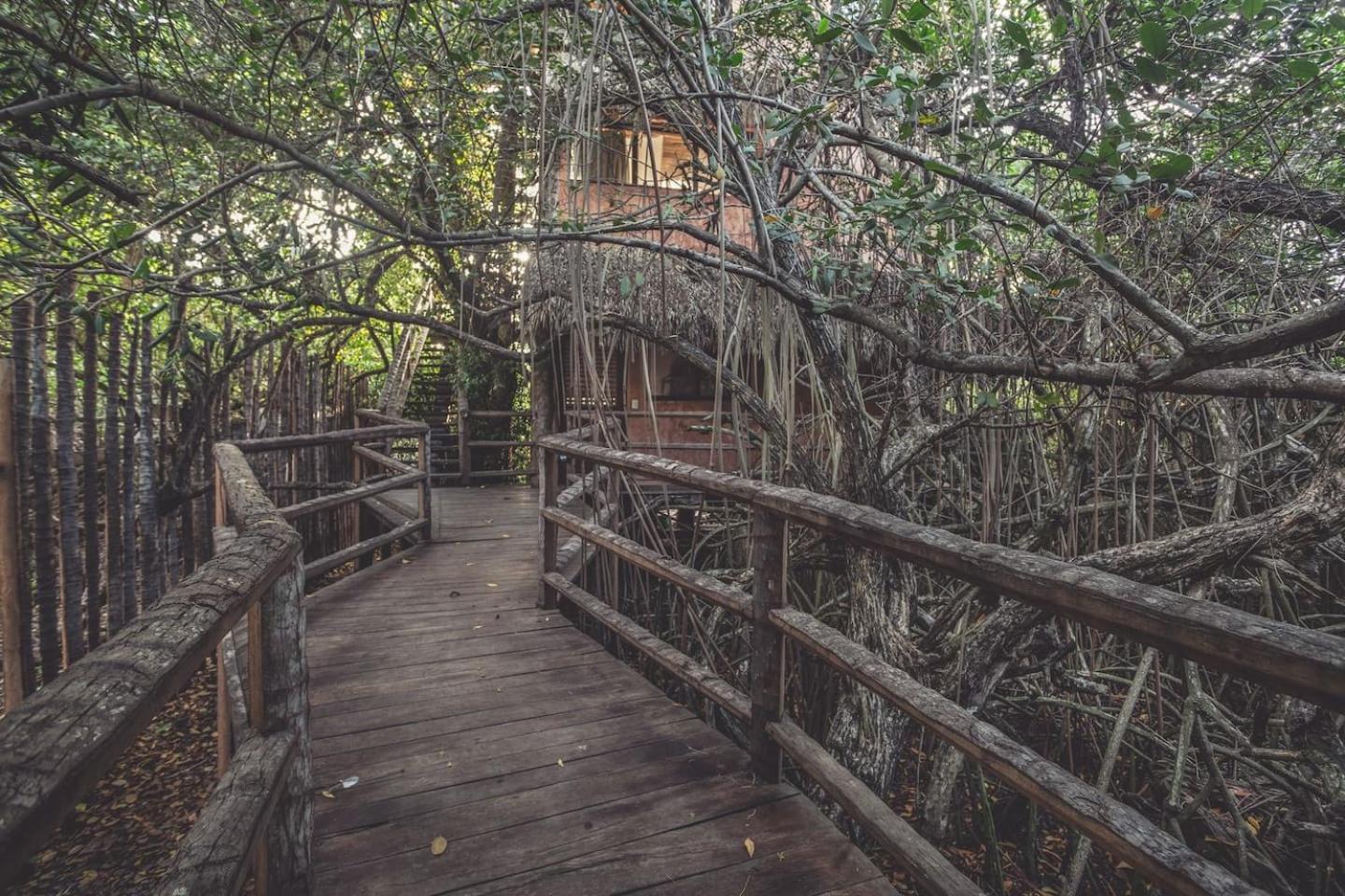 Hidden Treehouse Tulum Ecohotel