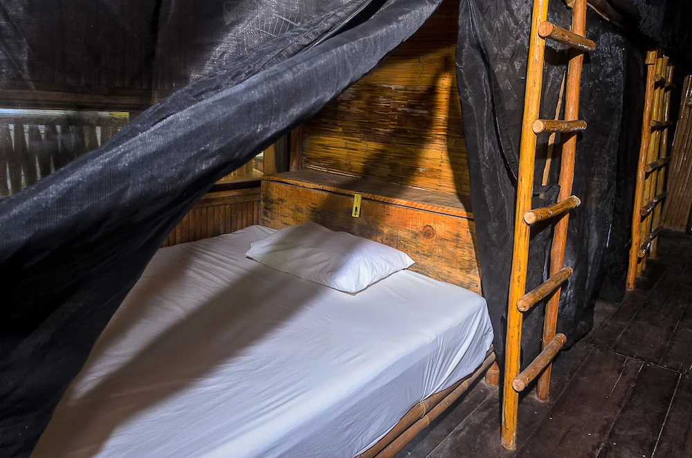 Hostel Bambu Gran Palas and Cenote