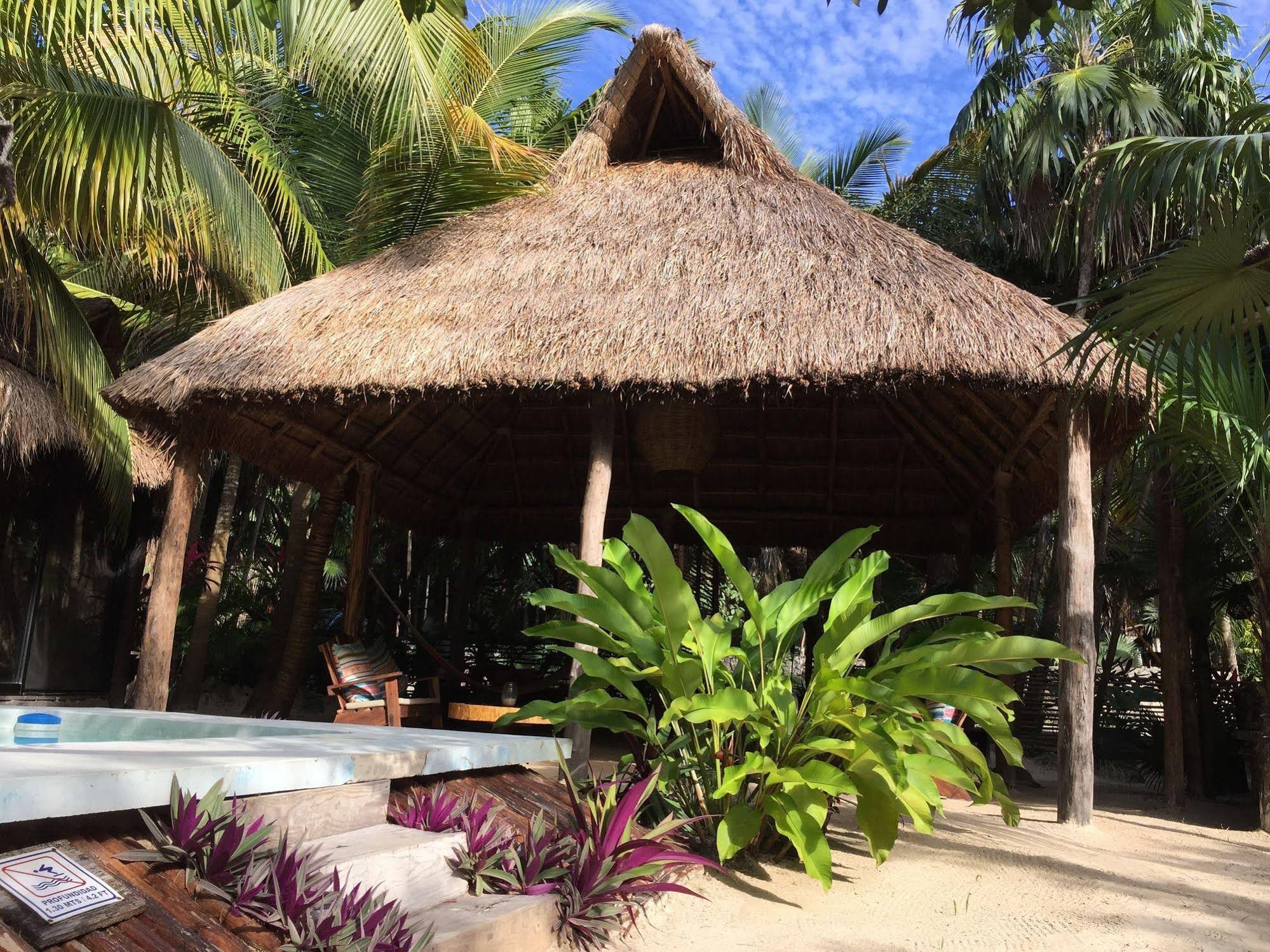 Hotel MangleX