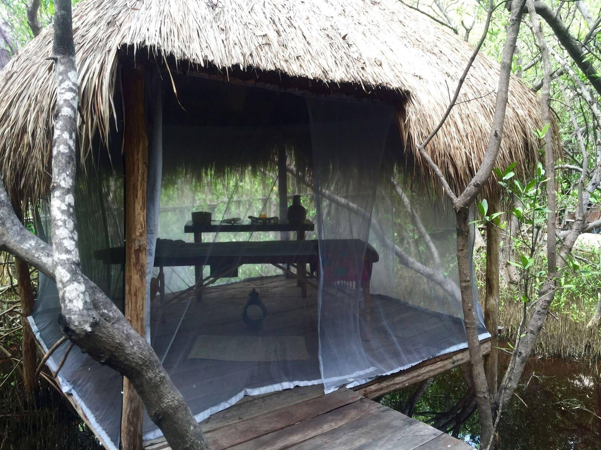 Hotel MangleX