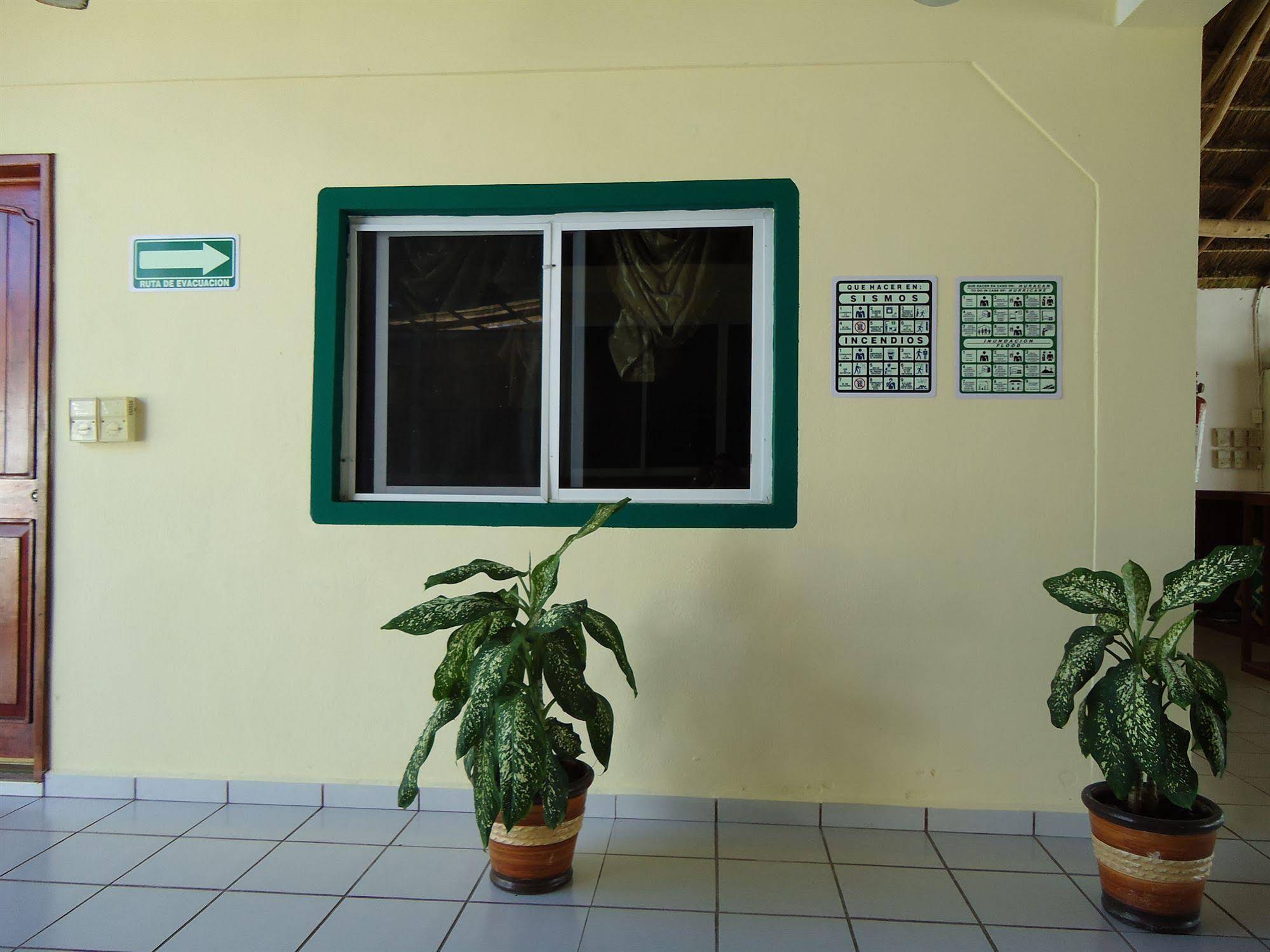 OYO Hotel Palma Real