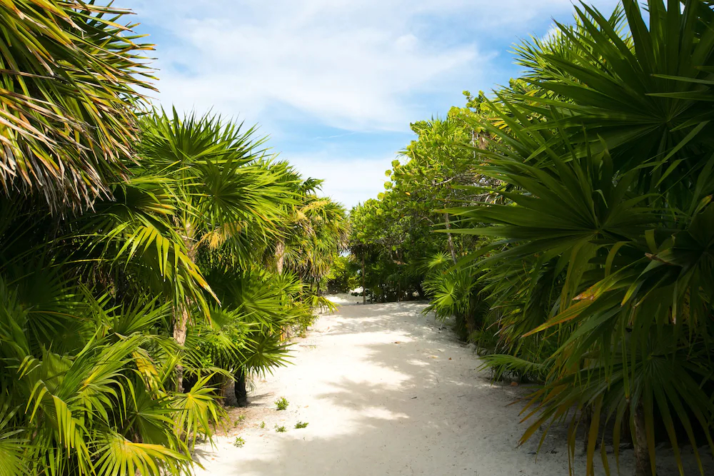 Ikal Tulum Mayan Sanctuary