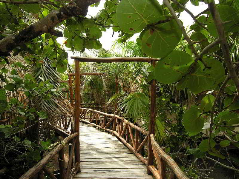 Jade Tulum Hotel