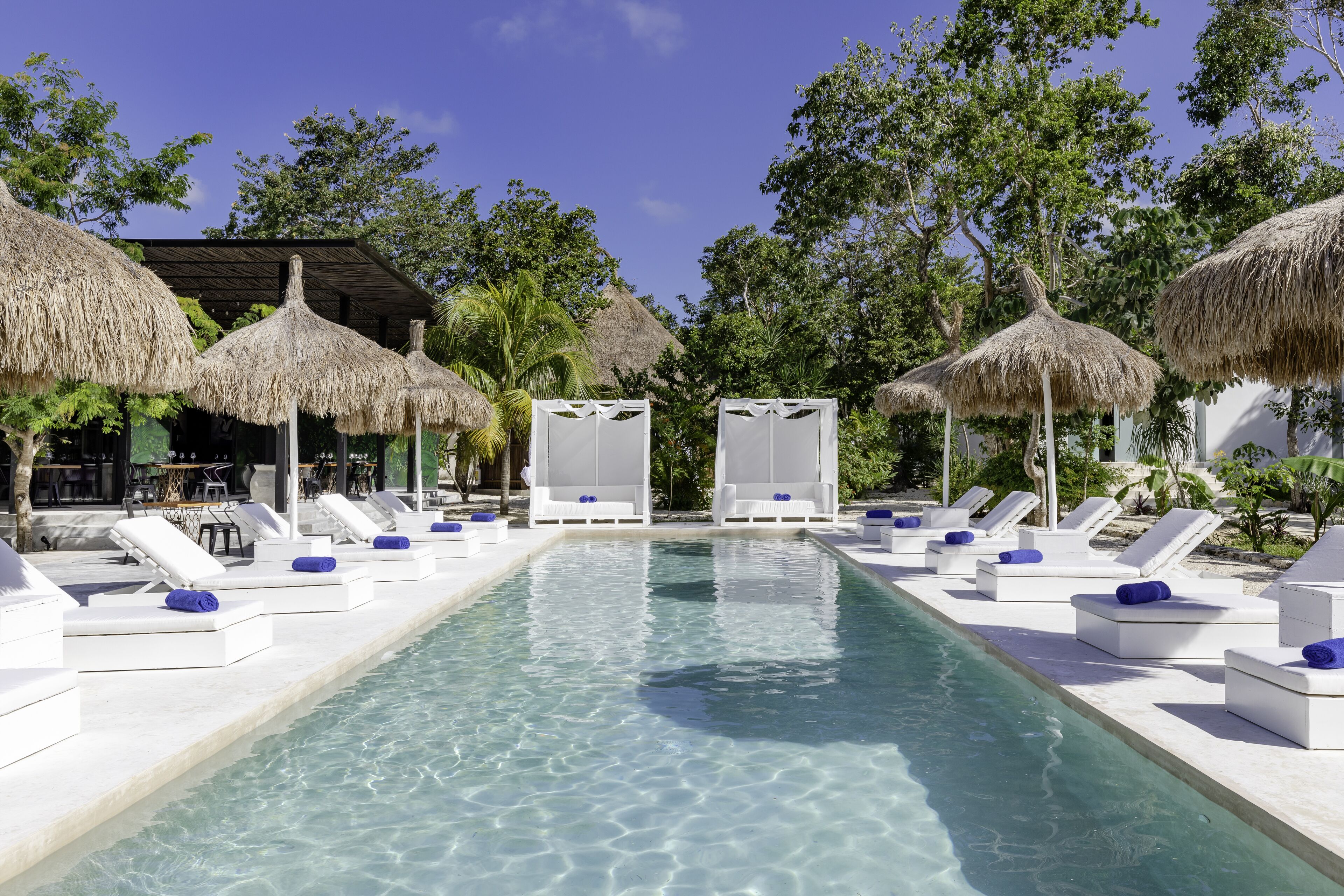 Jungle Lodge Boutique Hotel