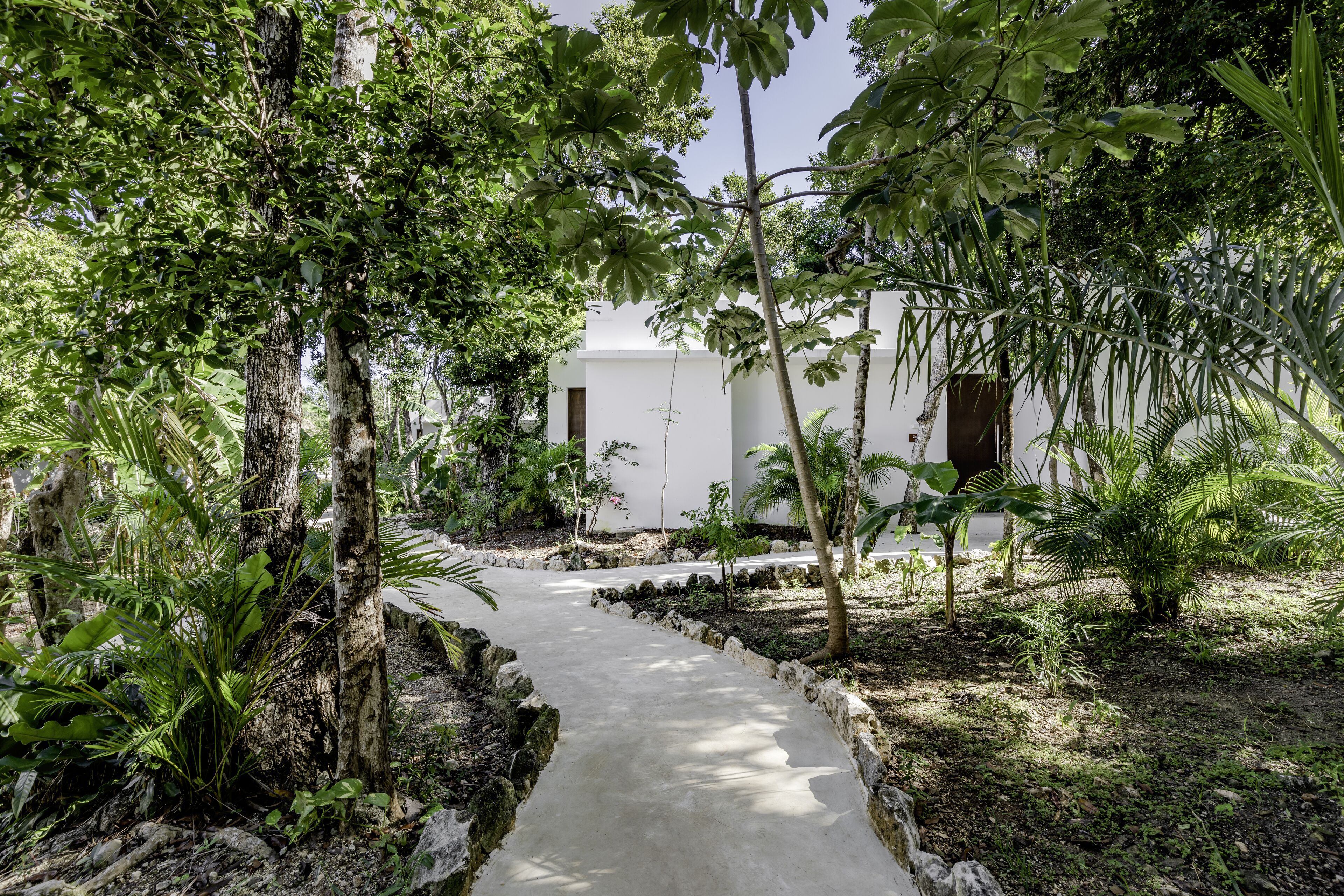 Jungle Lodge Boutique Hotel