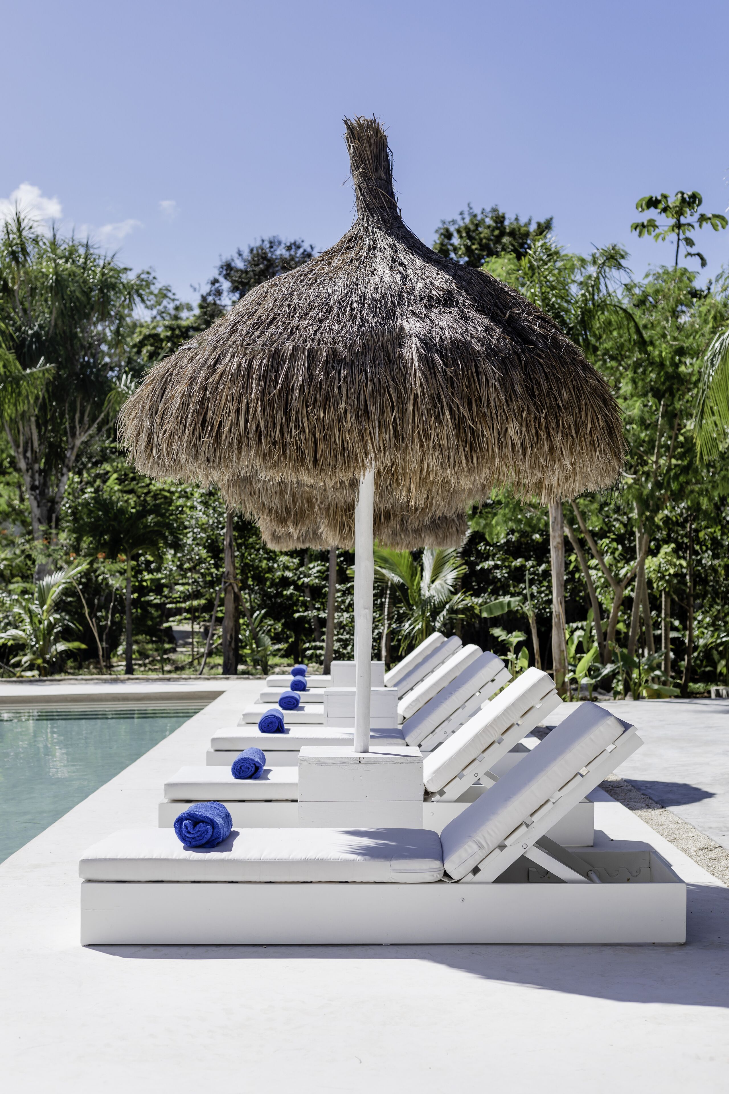 Jungle Lodge Boutique Hotel