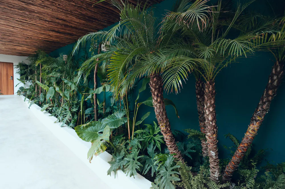 Kaab Tulum